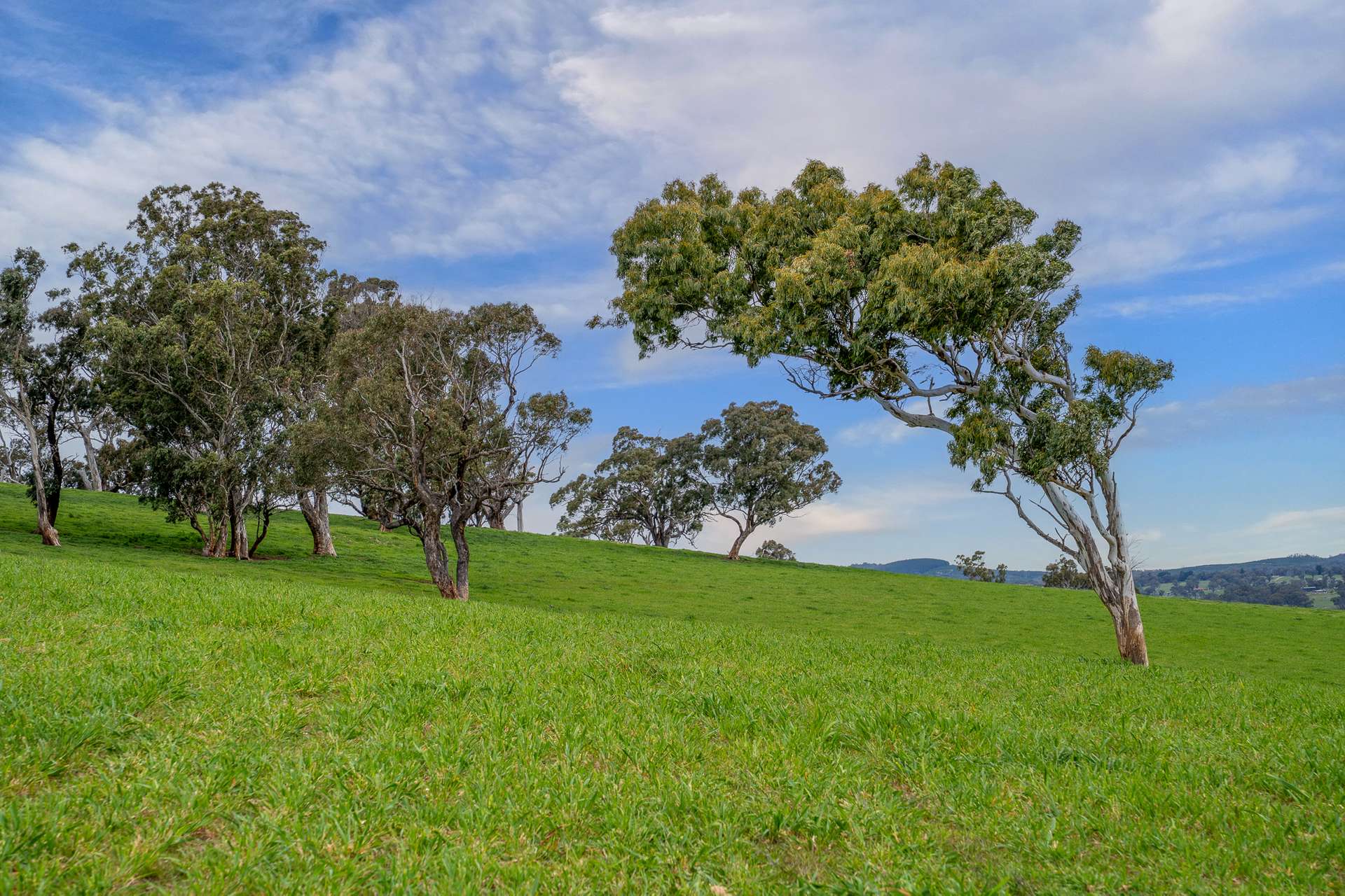 1712 Hazelgrove Road, Tarana For Sale by Farmbuy.com - image 17