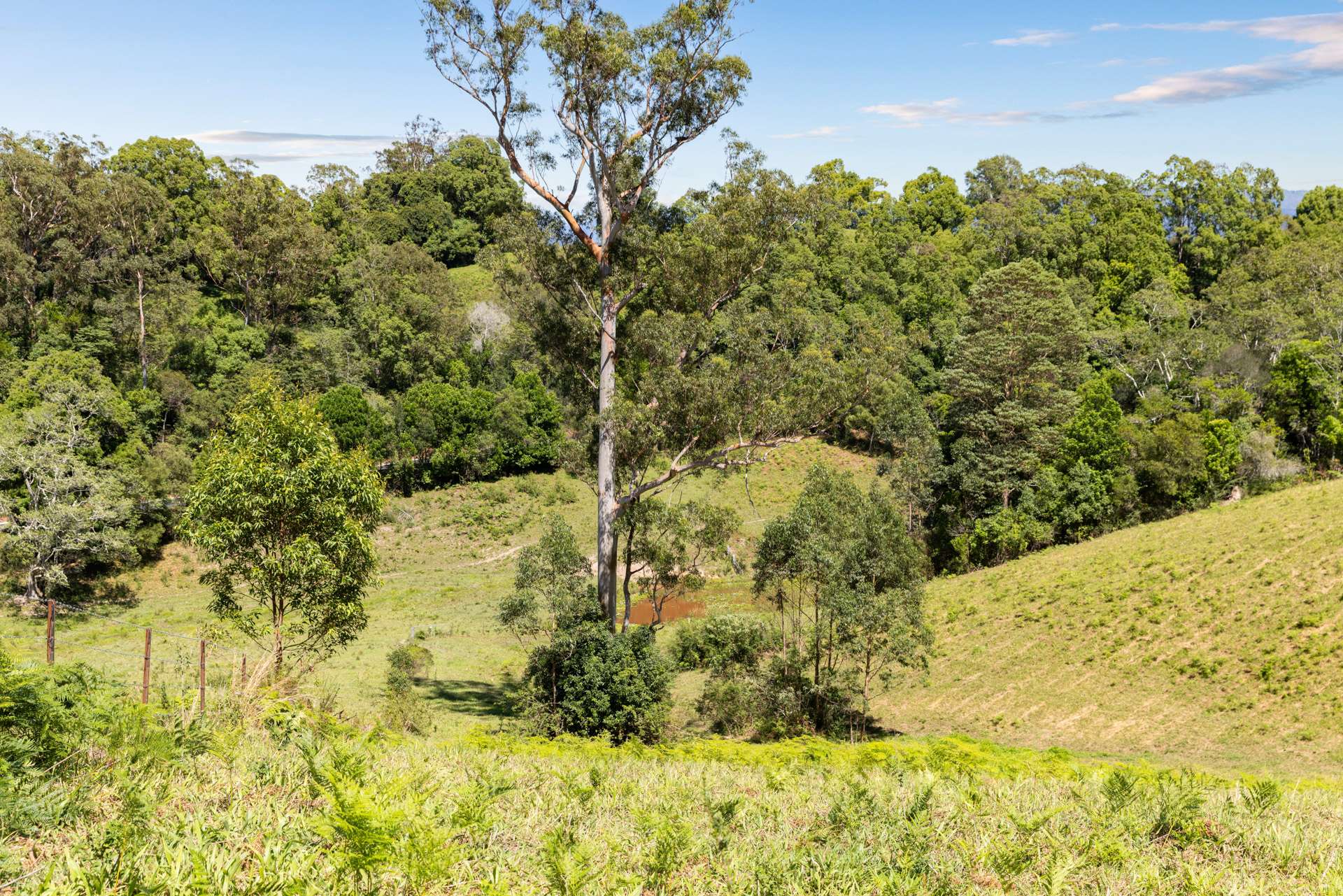 222 Gleniffer Road, Bellingen Sold by Farmbuy.com - image 23