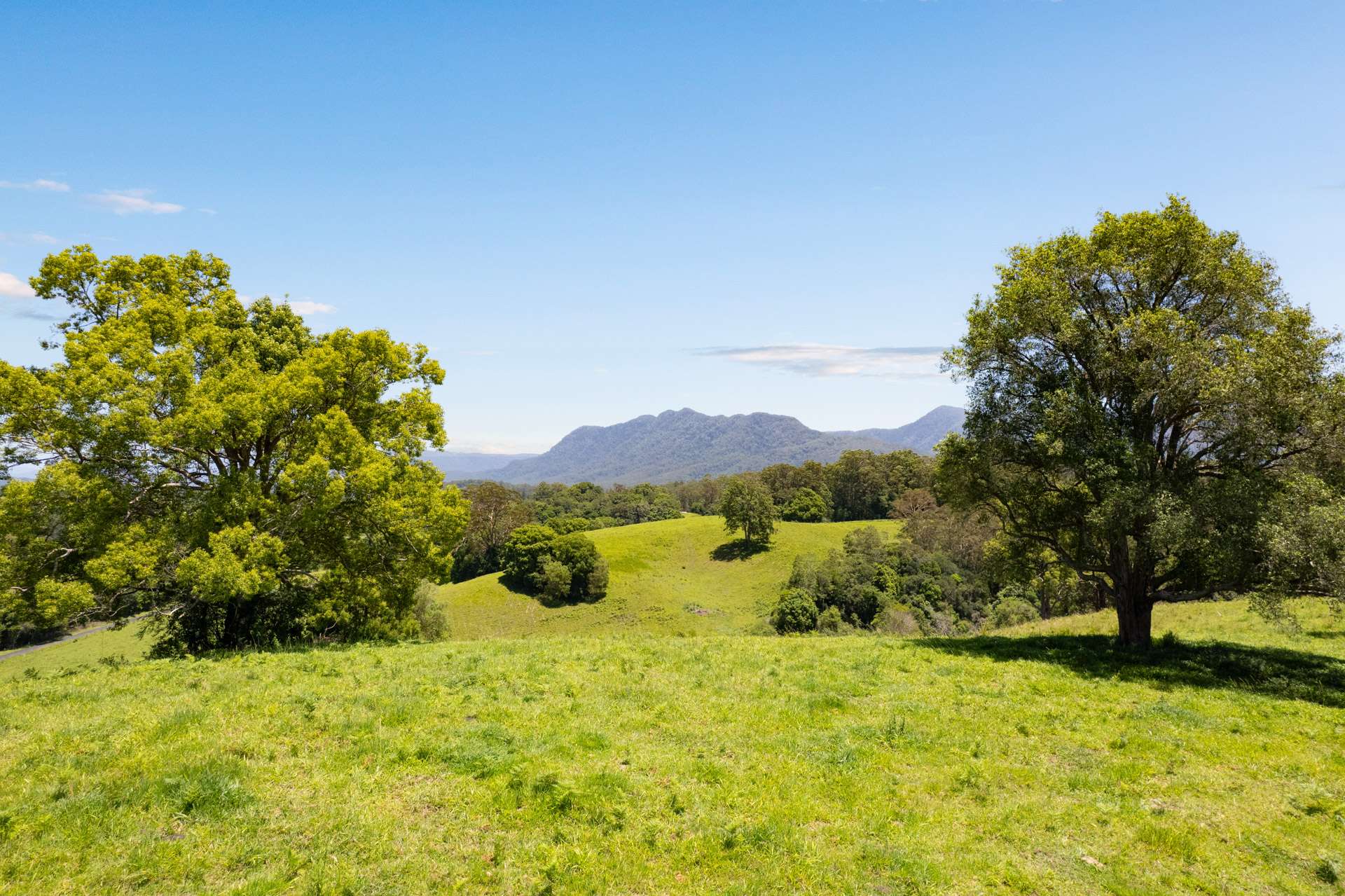222 Gleniffer Road, Bellingen Sold by Farmbuy.com - image 3