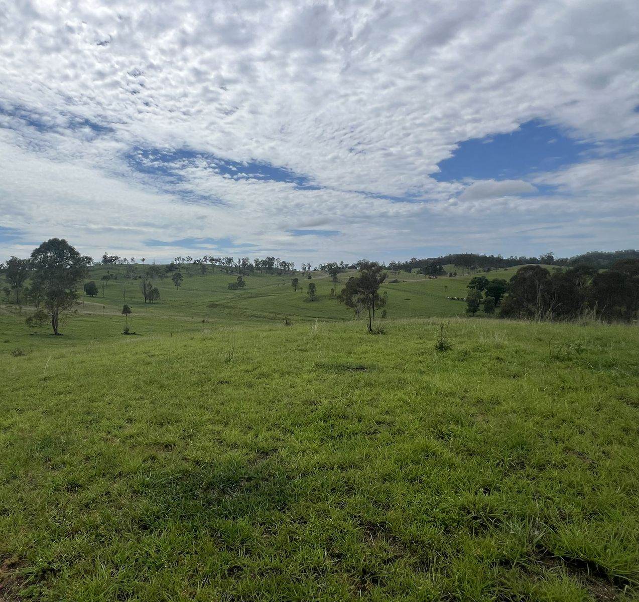 208 Rosehill Road, Kolonga Sold by Farmbuy.com - image 27