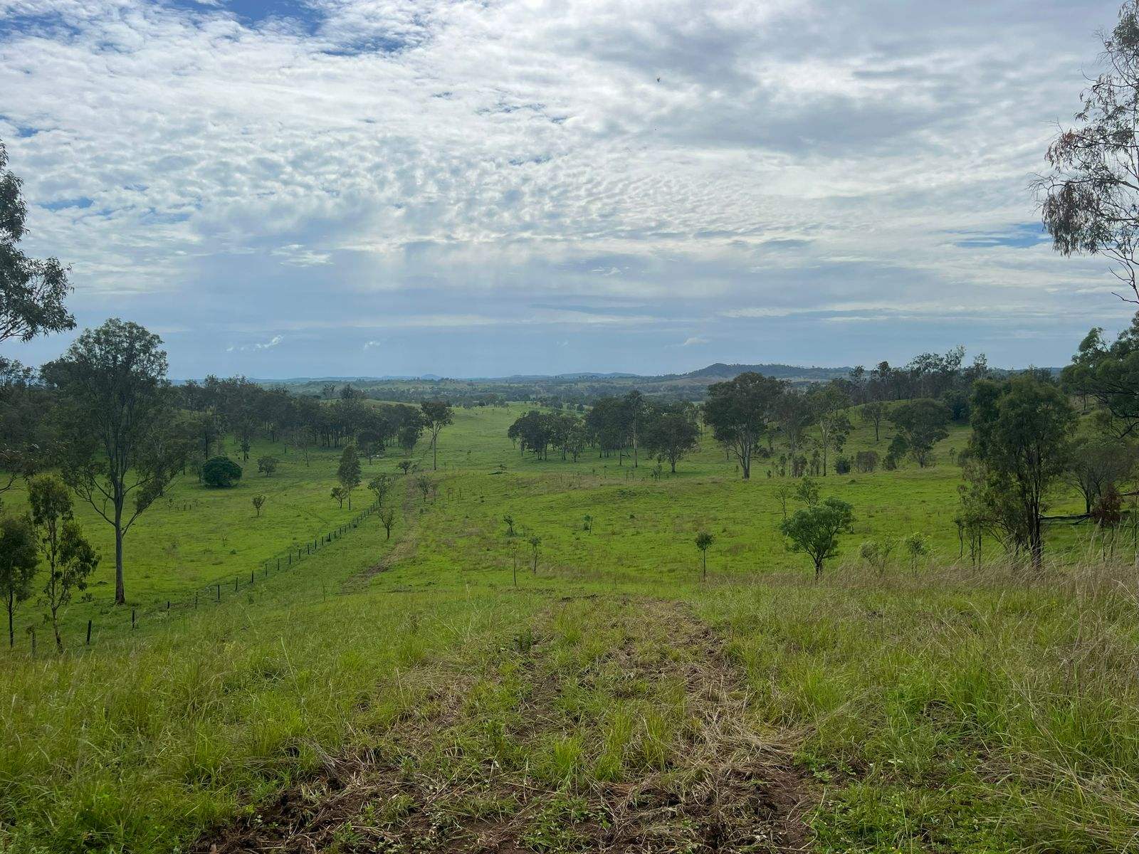 208 Rosehill Road, Kolonga Sold by Farmbuy.com - image 16