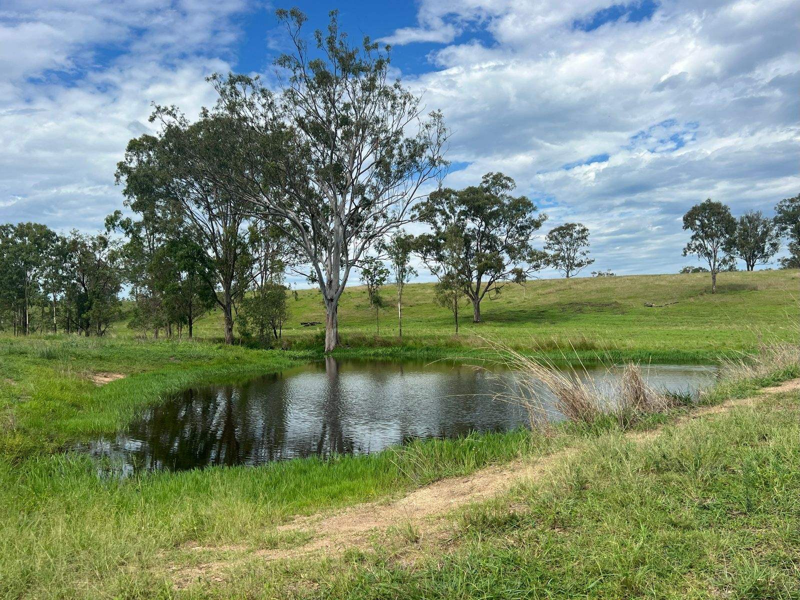 208 Rosehill Road, Kolonga Sold by Farmbuy.com - image 20