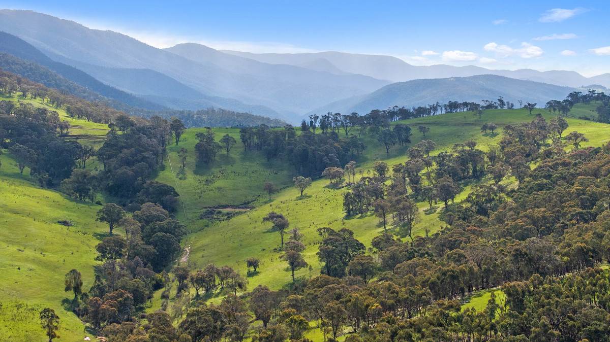 914 Target Creek Road, Licola For Sale by Farmbuy.com - image 13
