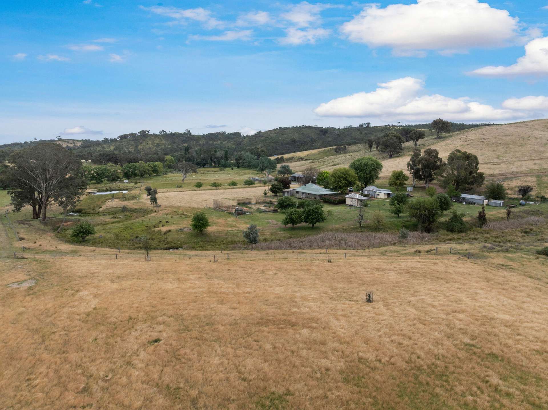 2025 Rugby Road, Frogmore Via, Boorowa For Sale by Farmbuy.com - image 3