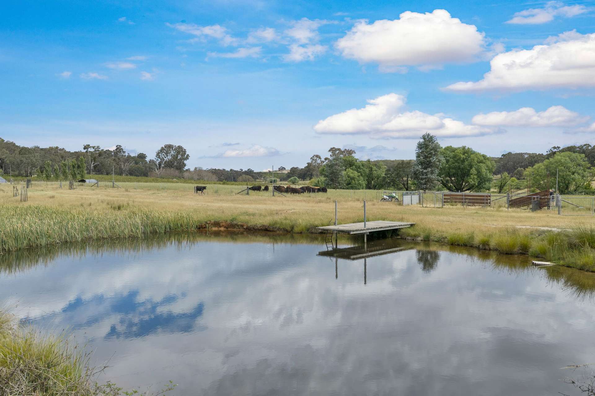 2025 Rugby Road, Frogmore Via, Boorowa For Sale by Farmbuy.com - image 18