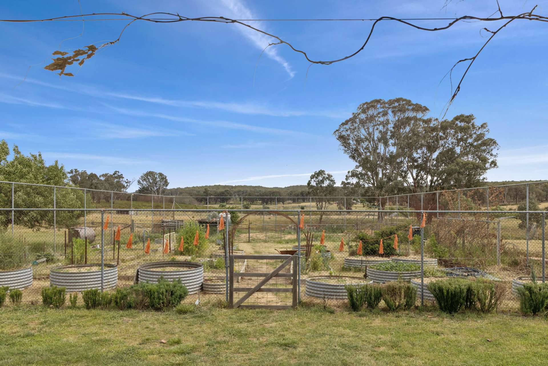 2025 Rugby Road, Frogmore Via, Boorowa For Sale by Farmbuy.com - image 16