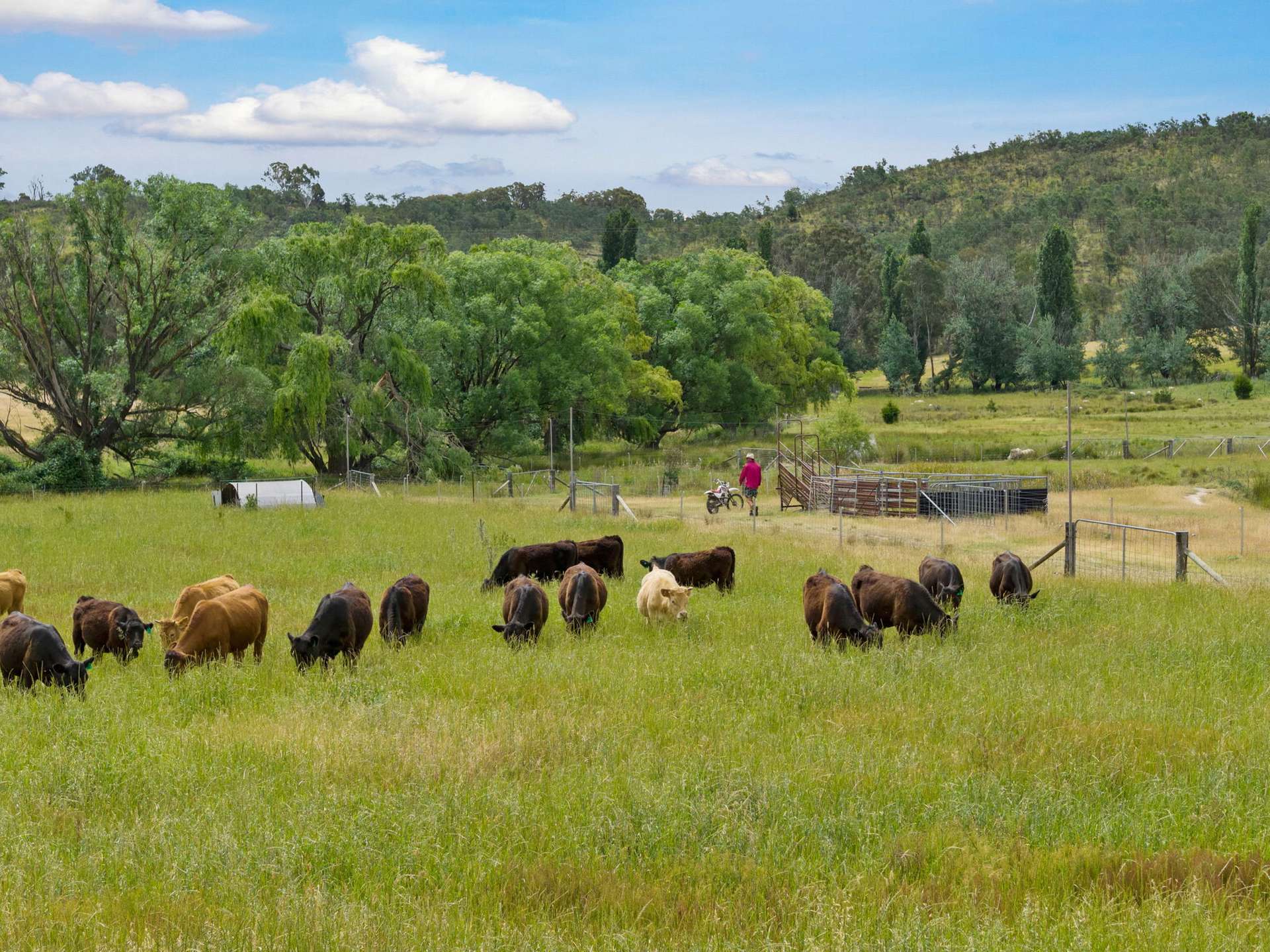 2025 Rugby Road, Frogmore Via, Boorowa For Sale by Farmbuy.com - image 19