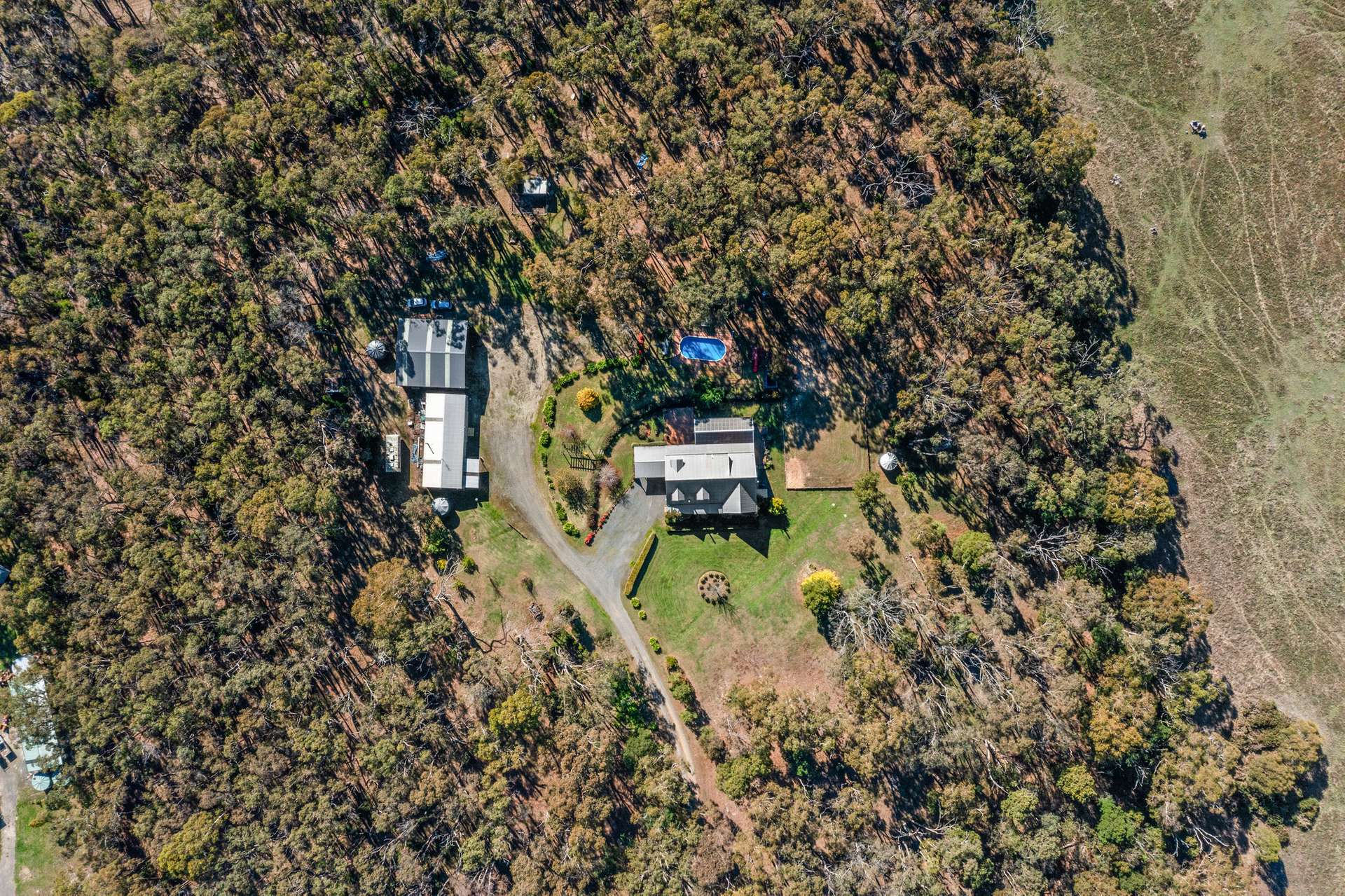 45 Stonier Road, Ross Creek For Sale by Farmbuy.com - image 20