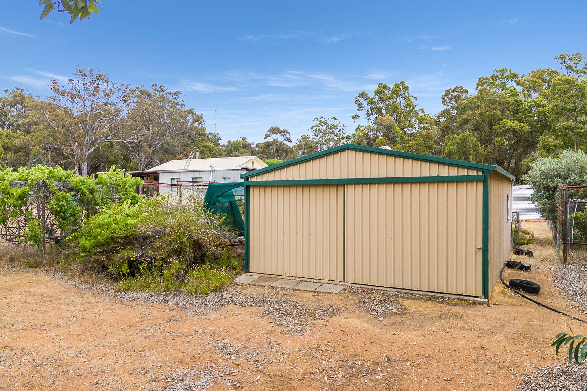 41 Red Gum Circle, Coondle Sold by Farmbuy.com - image 20