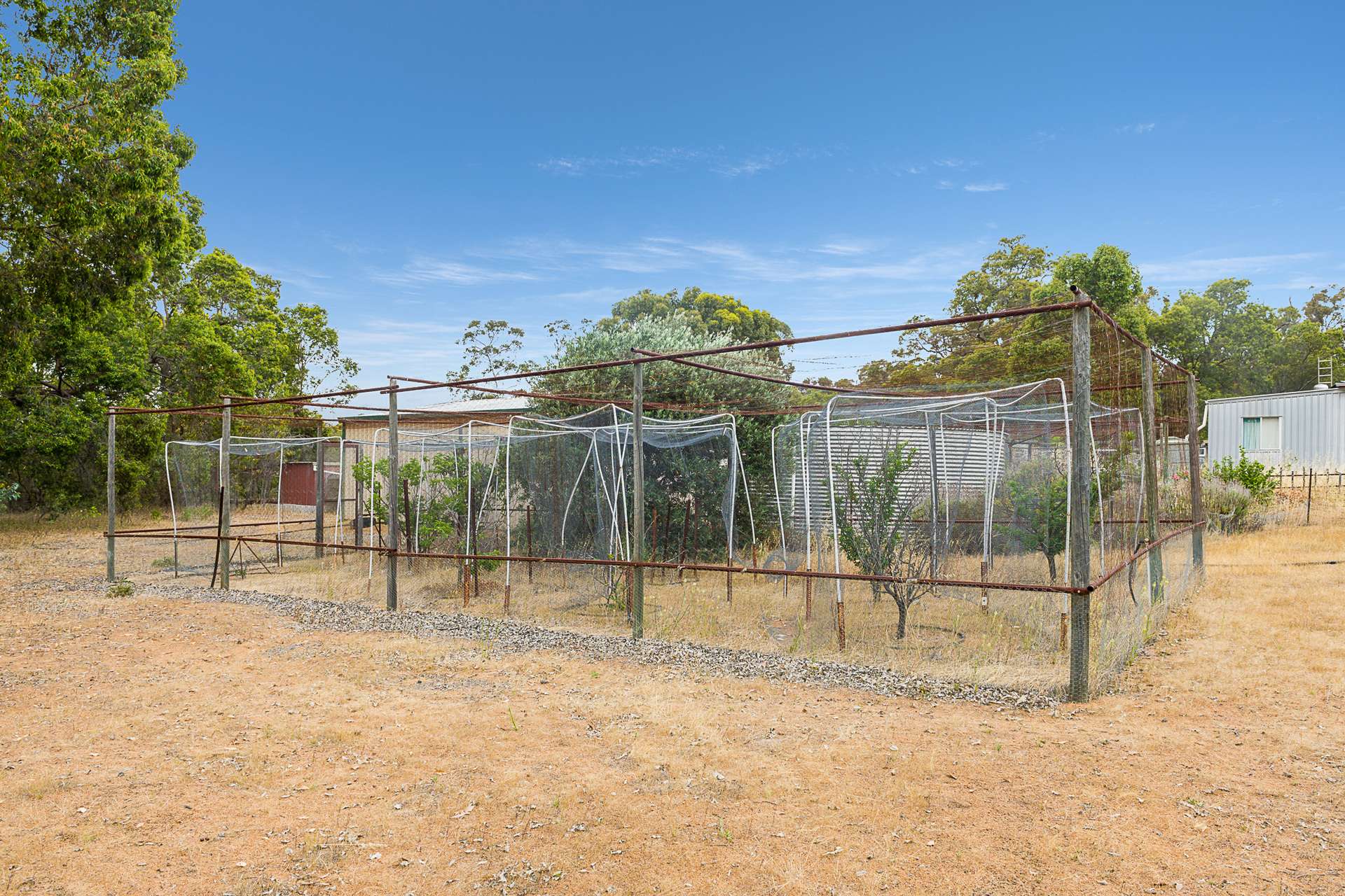 41 Red Gum Circle, Coondle Sold by Farmbuy.com - image 22