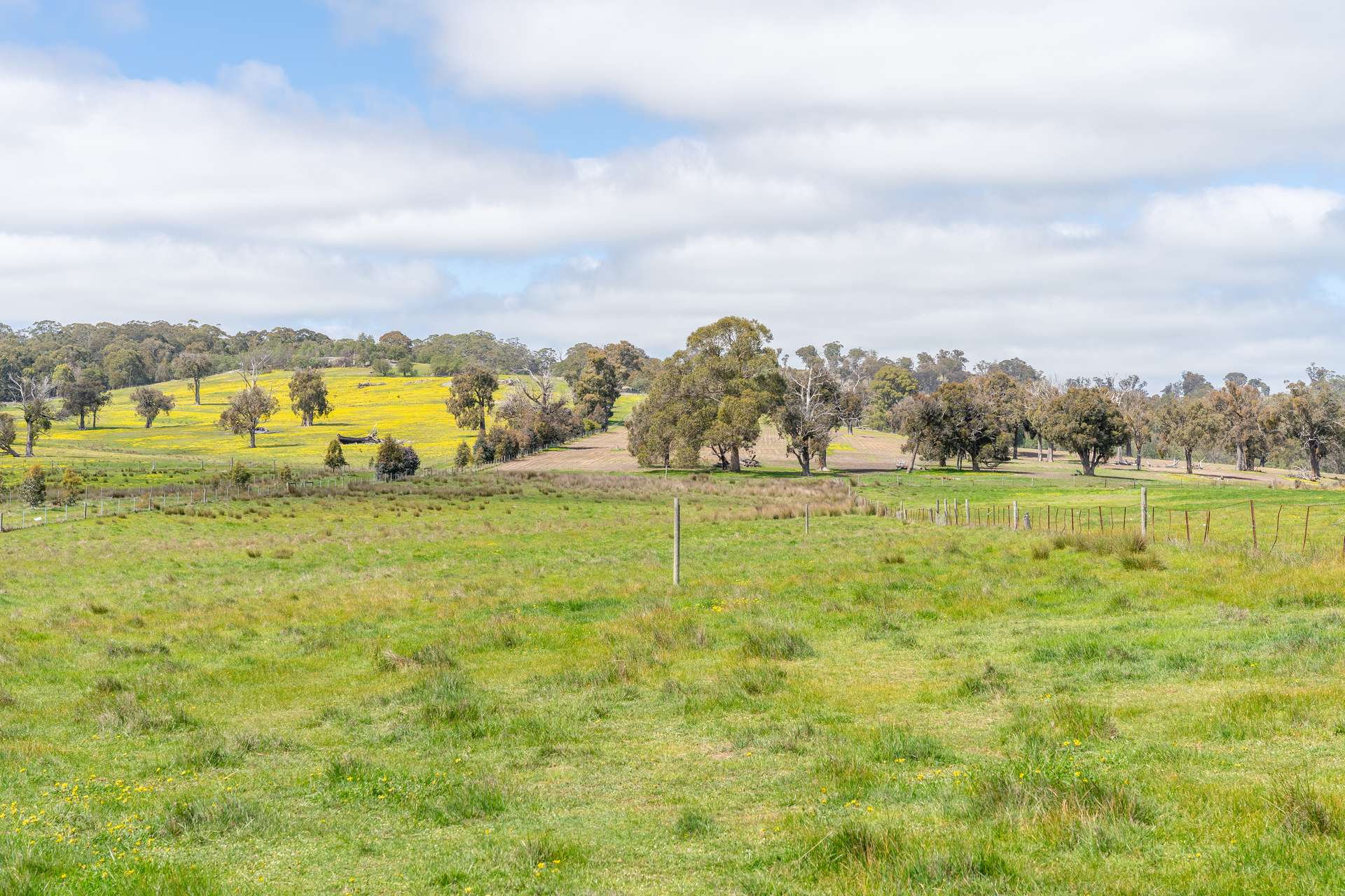 315 Coach Road, Strathbogie For Sale by Farmbuy.com - image 23