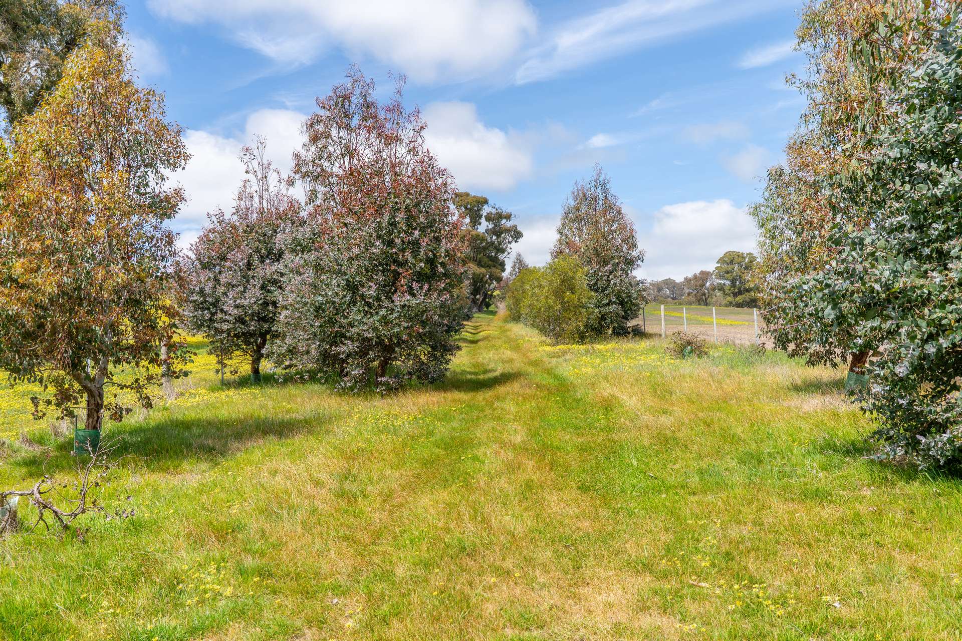 315 Coach Road, Strathbogie For Sale by Farmbuy.com - image 11