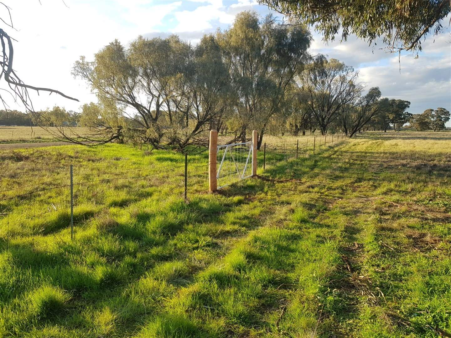 Lot 1 Roseholm Road, Peak Hill For Sale by Farmbuy.com - image 20