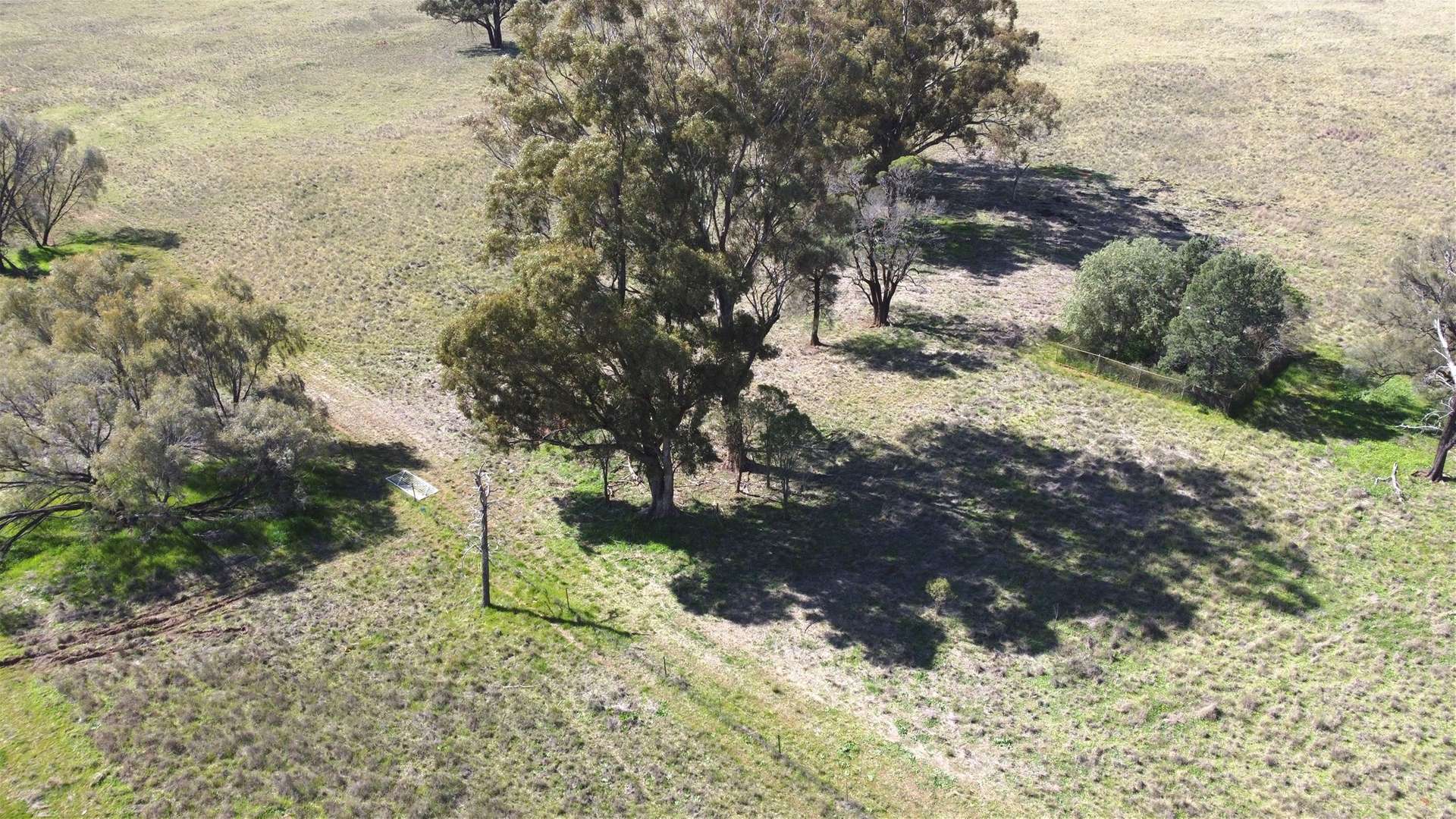 Lot 1 Roseholm Road, Peak Hill For Sale by Farmbuy.com - image 3