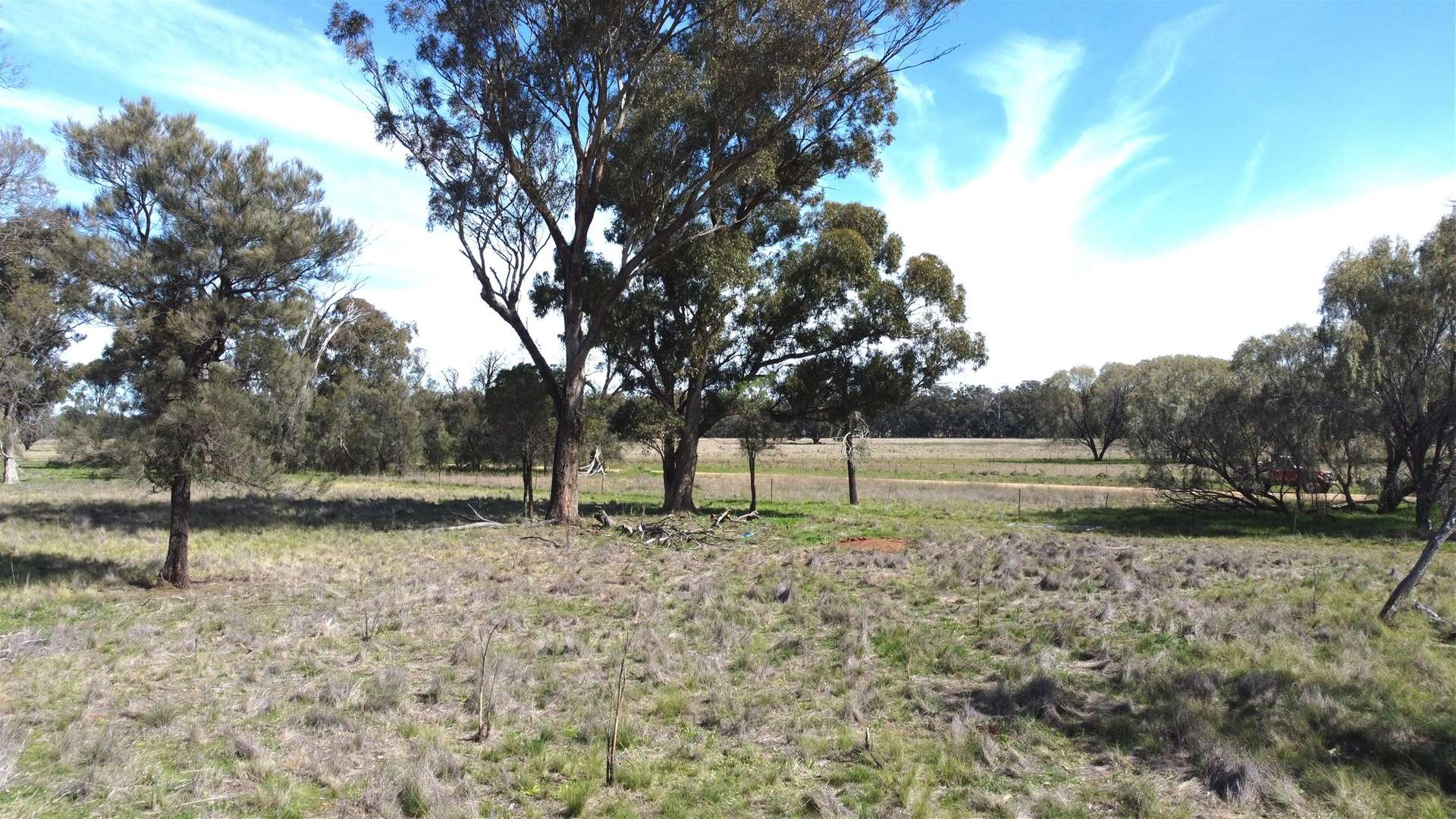 Lot 1 Roseholm Road, Peak Hill For Sale by Farmbuy.com - image 5