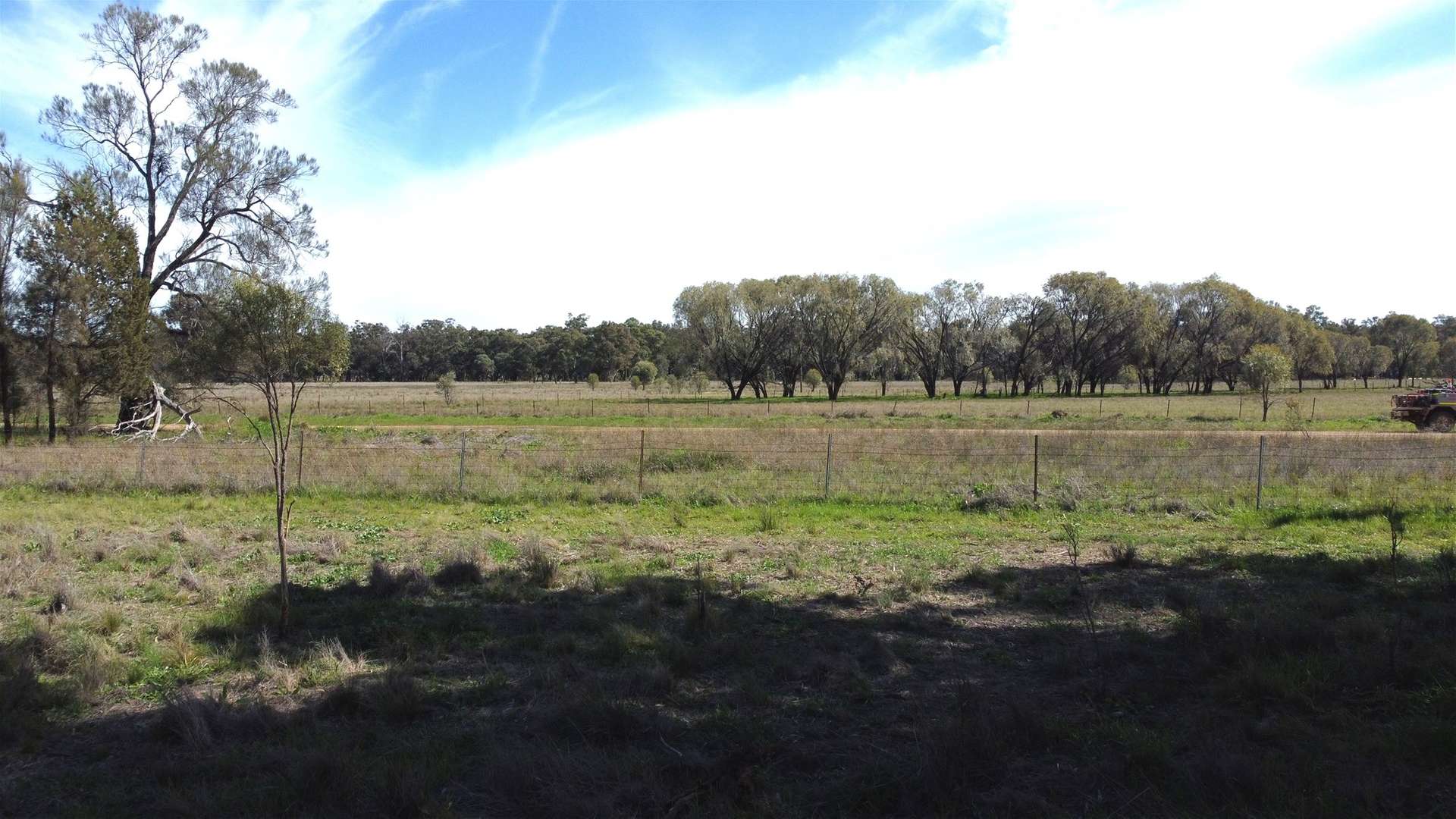 Lot 1 Roseholm Road, Peak Hill For Sale by Farmbuy.com - image 22
