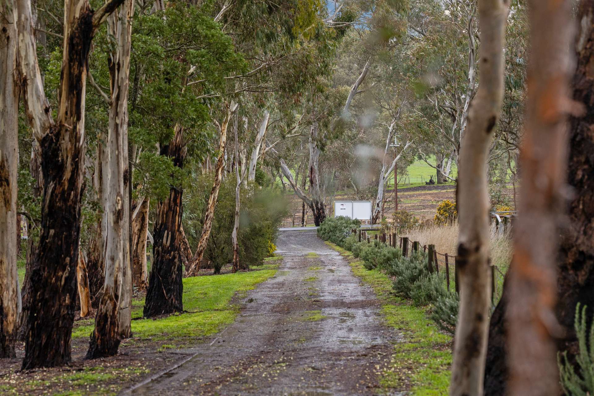 68 Lucky Hit Road, Birdwood For Sale by Farmbuy.com - image 24
