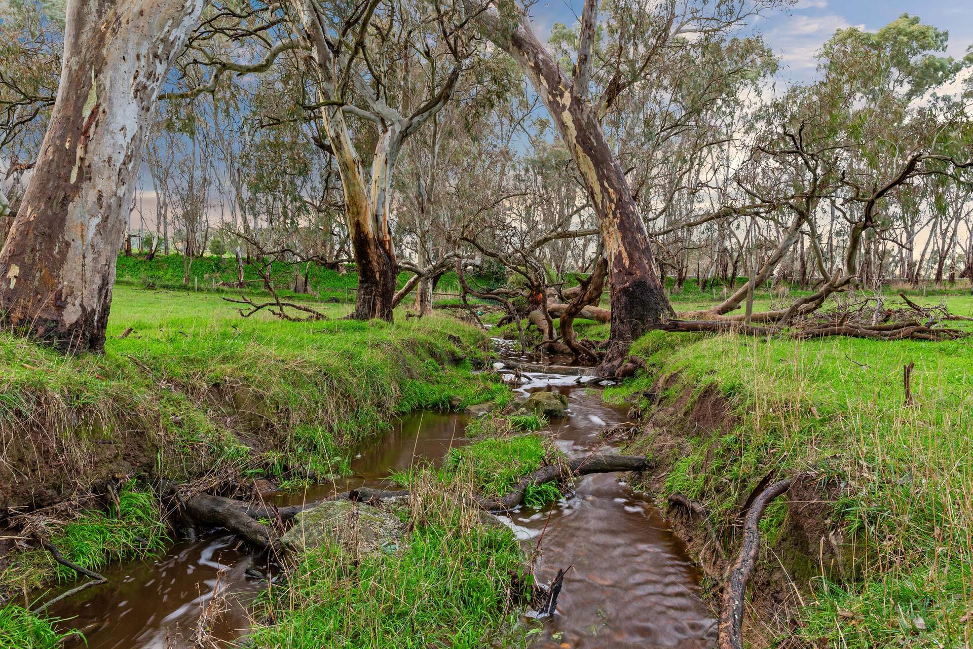 68 Lucky Hit Road, Birdwood For Sale by Farmbuy.com - image 23