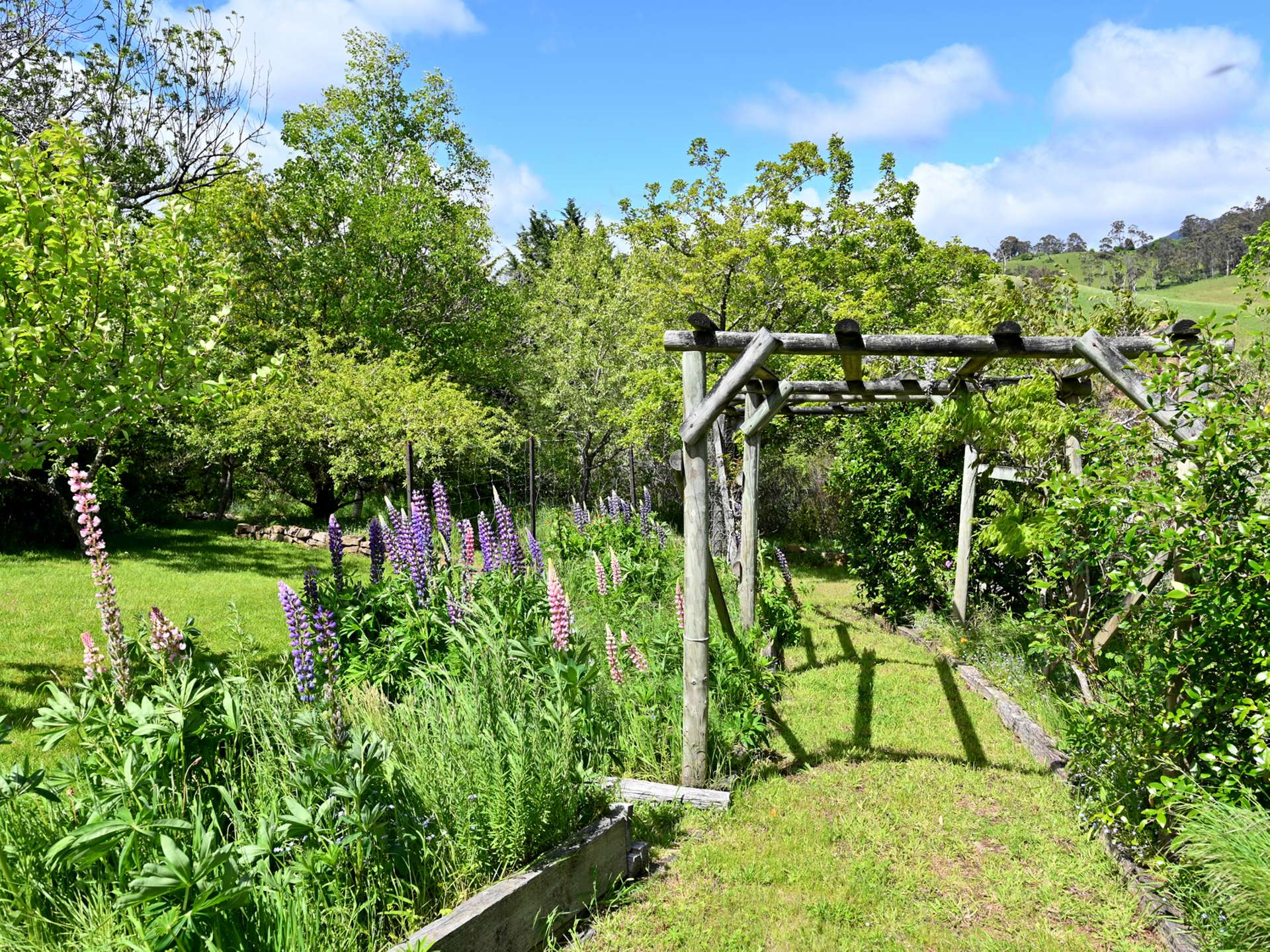 31 Curlys Lane, Ellendale For Sale by Farmbuy.com - image 6