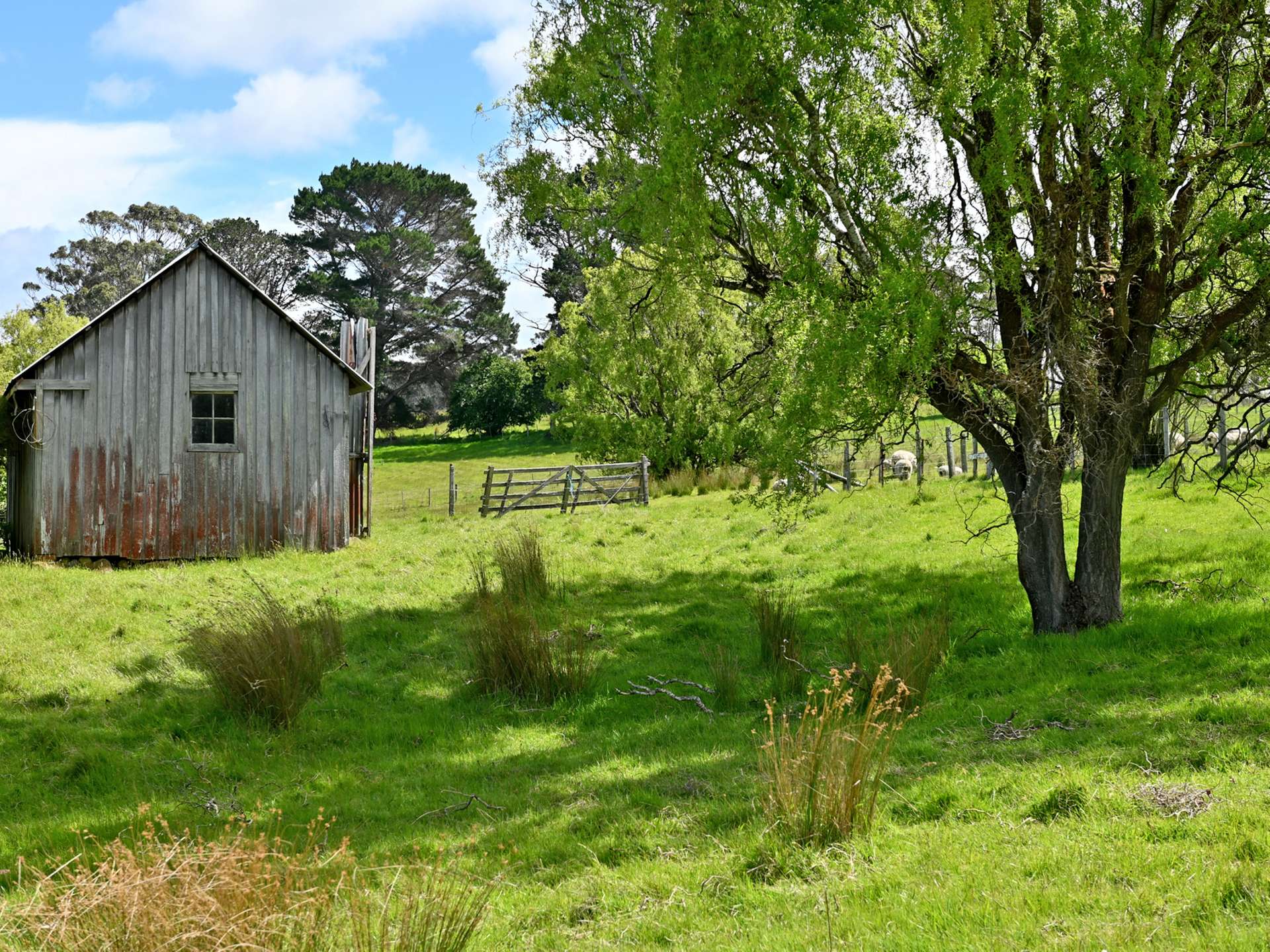 31 Curlys Lane, Ellendale For Sale by Farmbuy.com - image 24