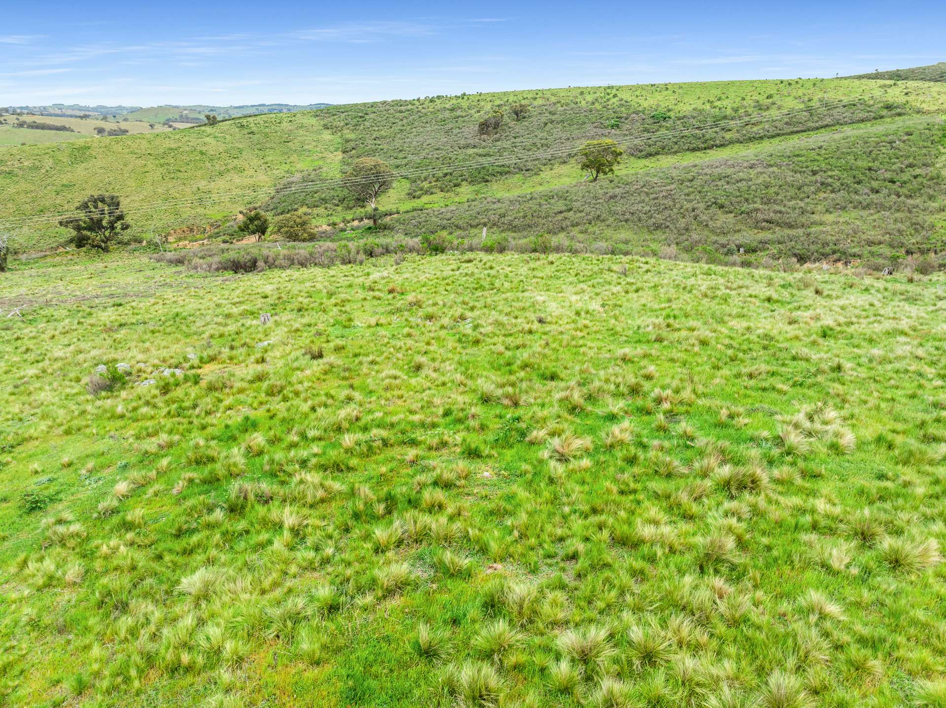 517 White Rocks Road, Lewis Ponds For Sale by Farmbuy.com - image 19