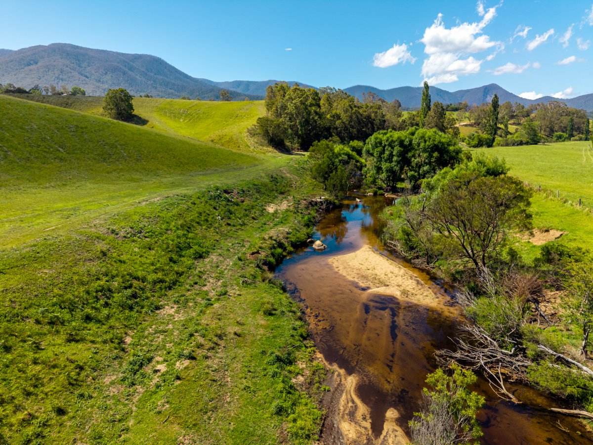 247 Brown Pearsons Road, Bemboka For Sale by Farmbuy.com - image 23