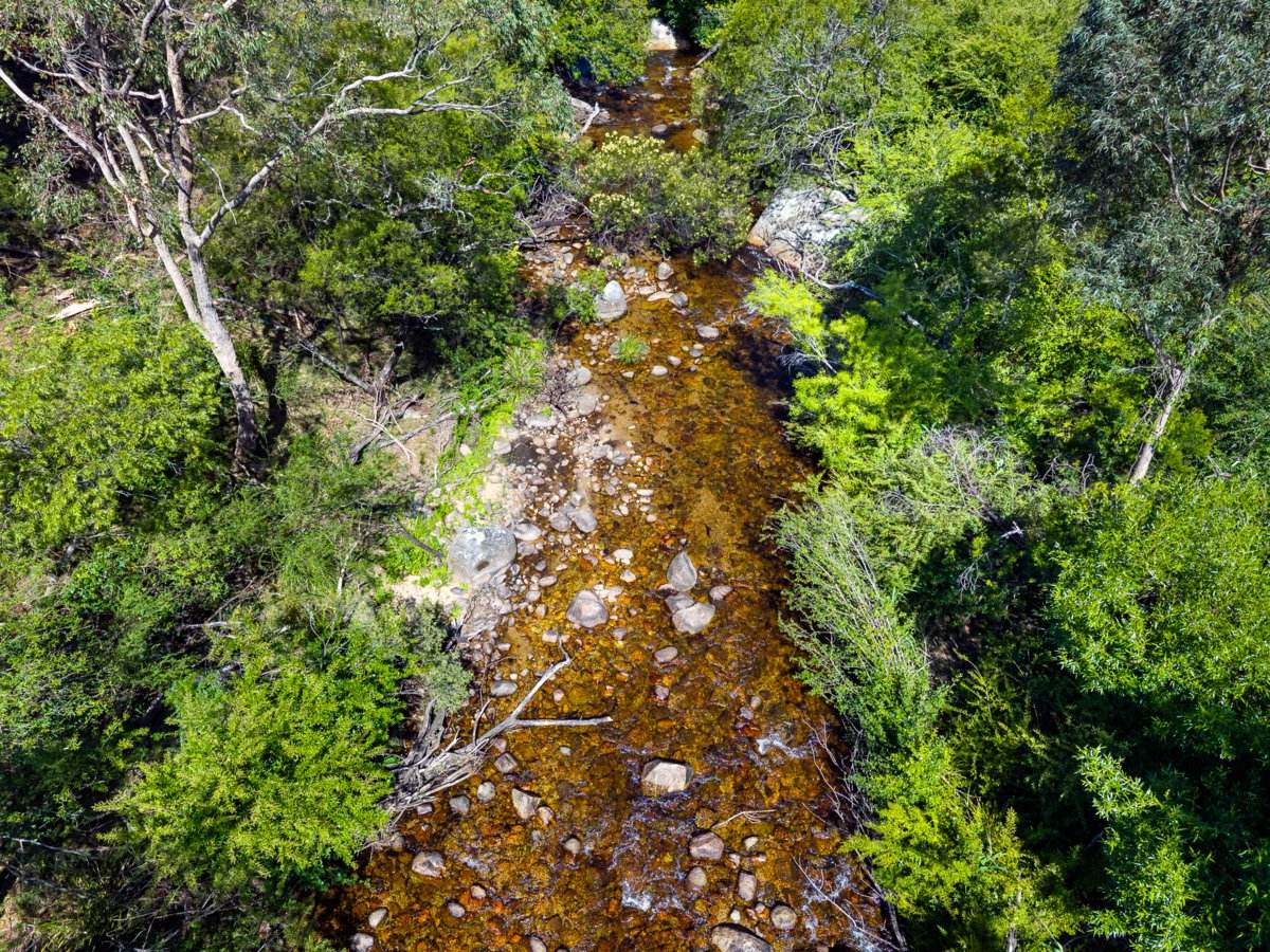 247 Brown Pearsons Road, Bemboka For Sale by Farmbuy.com - image 24