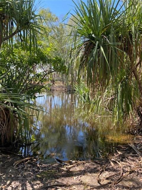 281 Shadforth Road, Cossack, Katherine For Sale by Farmbuy.com - image 7