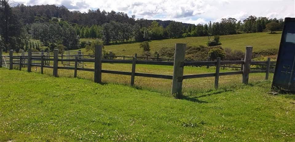 7630 Armidale Rd, Billys Creek For Sale by Farmbuy.com - image 15
