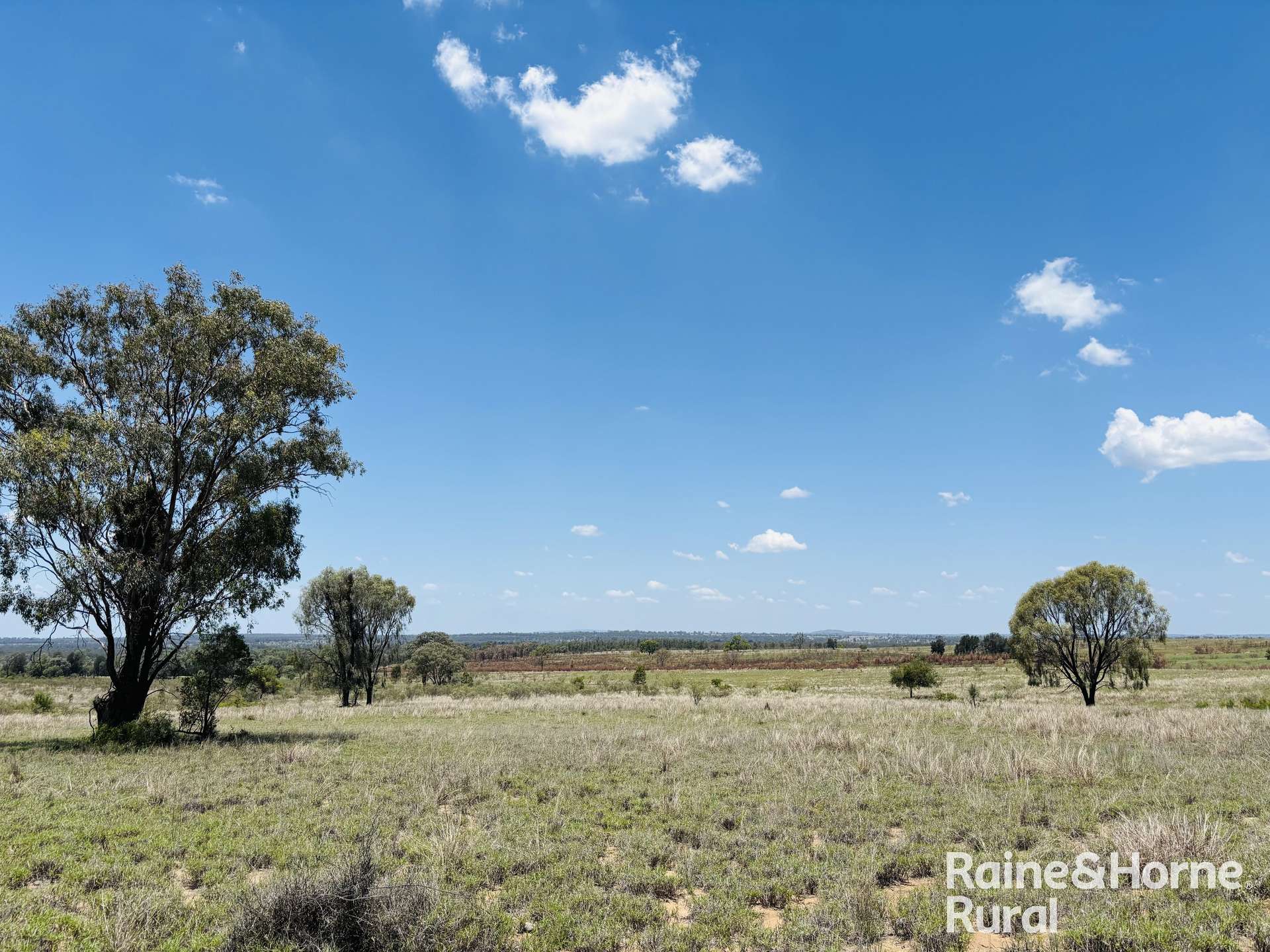 3520 Orallo Road, Roma Sold by Farmbuy.com - image 15