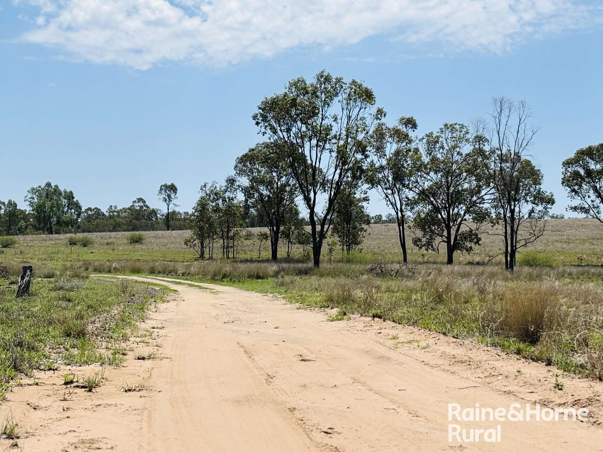 3520 Orallo Road, Roma Sold by Farmbuy.com - image 7
