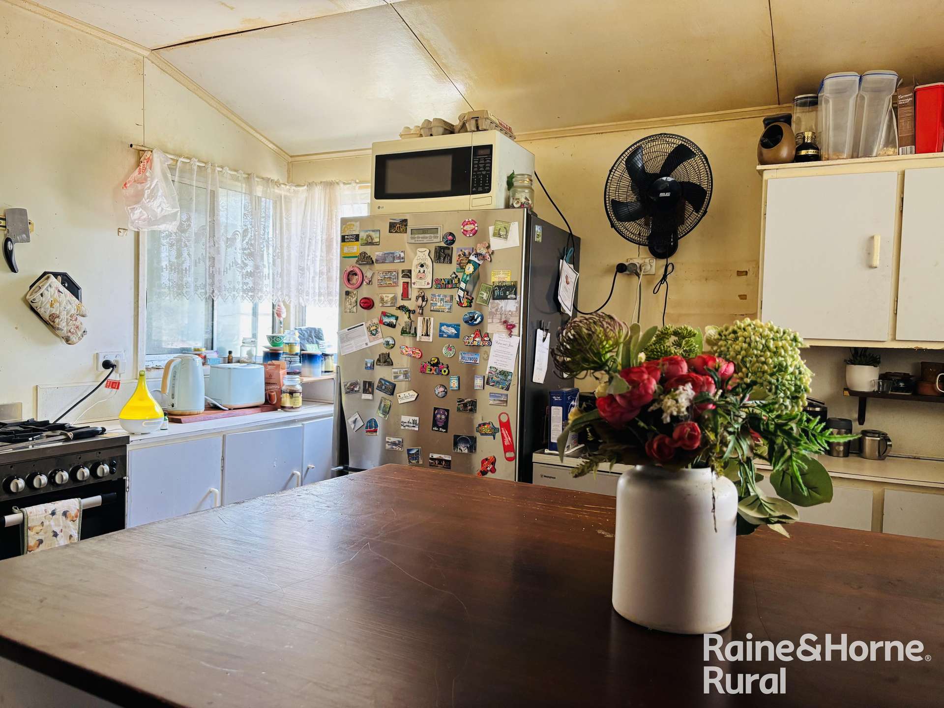 3520 Orallo Road, Roma Sold by Farmbuy.com - image 29