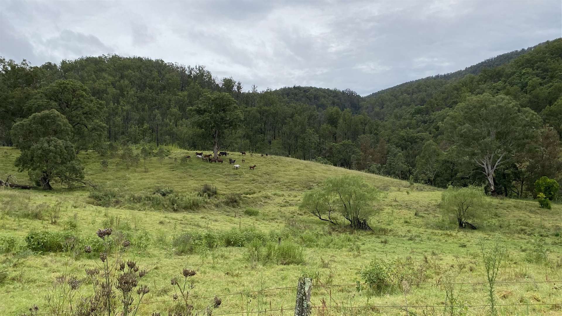 Lots 28 &amp; 52/2685 Enfield Range Rd, Cooplacurripa For Sale by Farmbuy.com - image 3