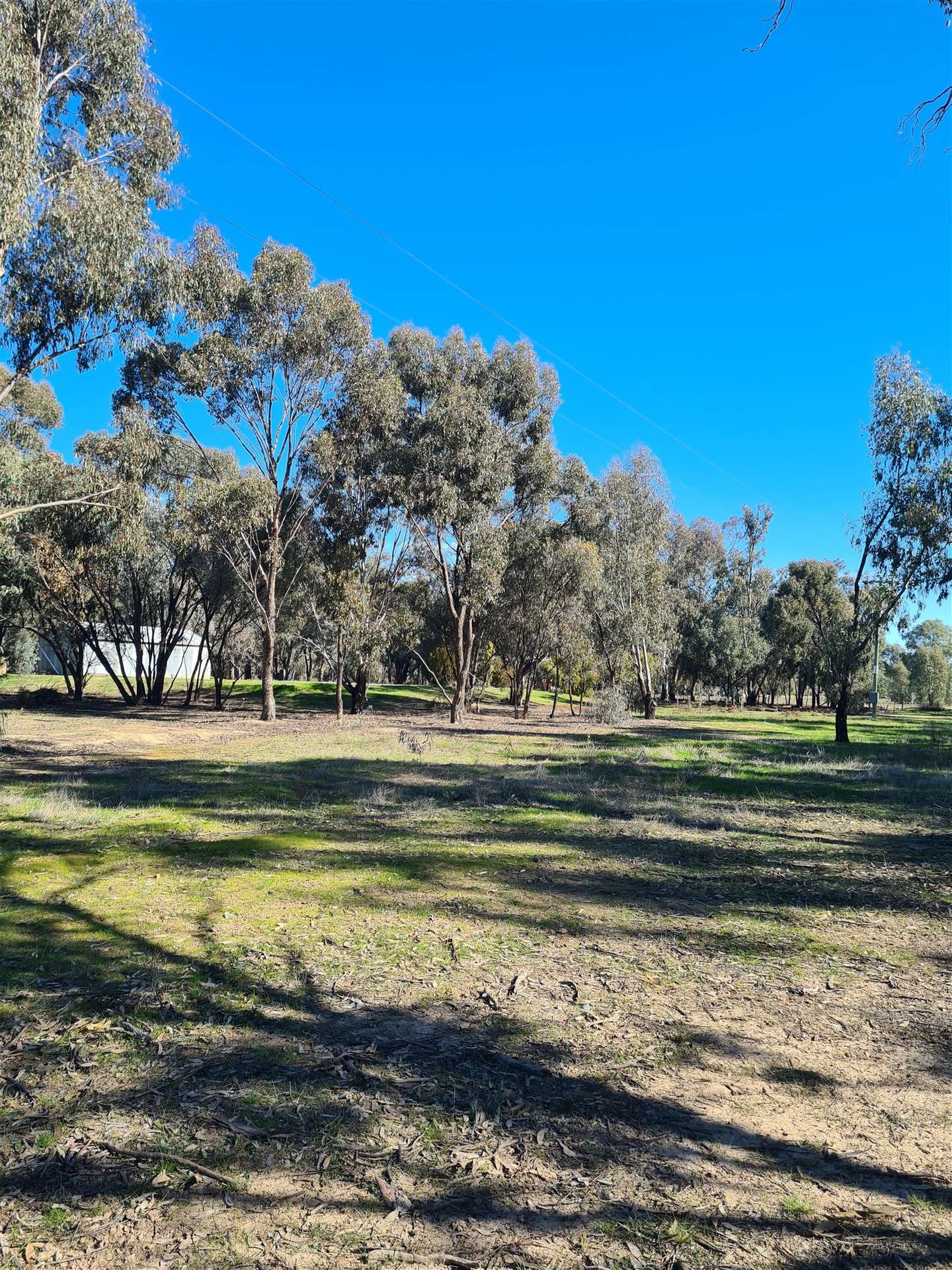 78 Louies Hut Road, Moama For Sale by Farmbuy.com - image 23