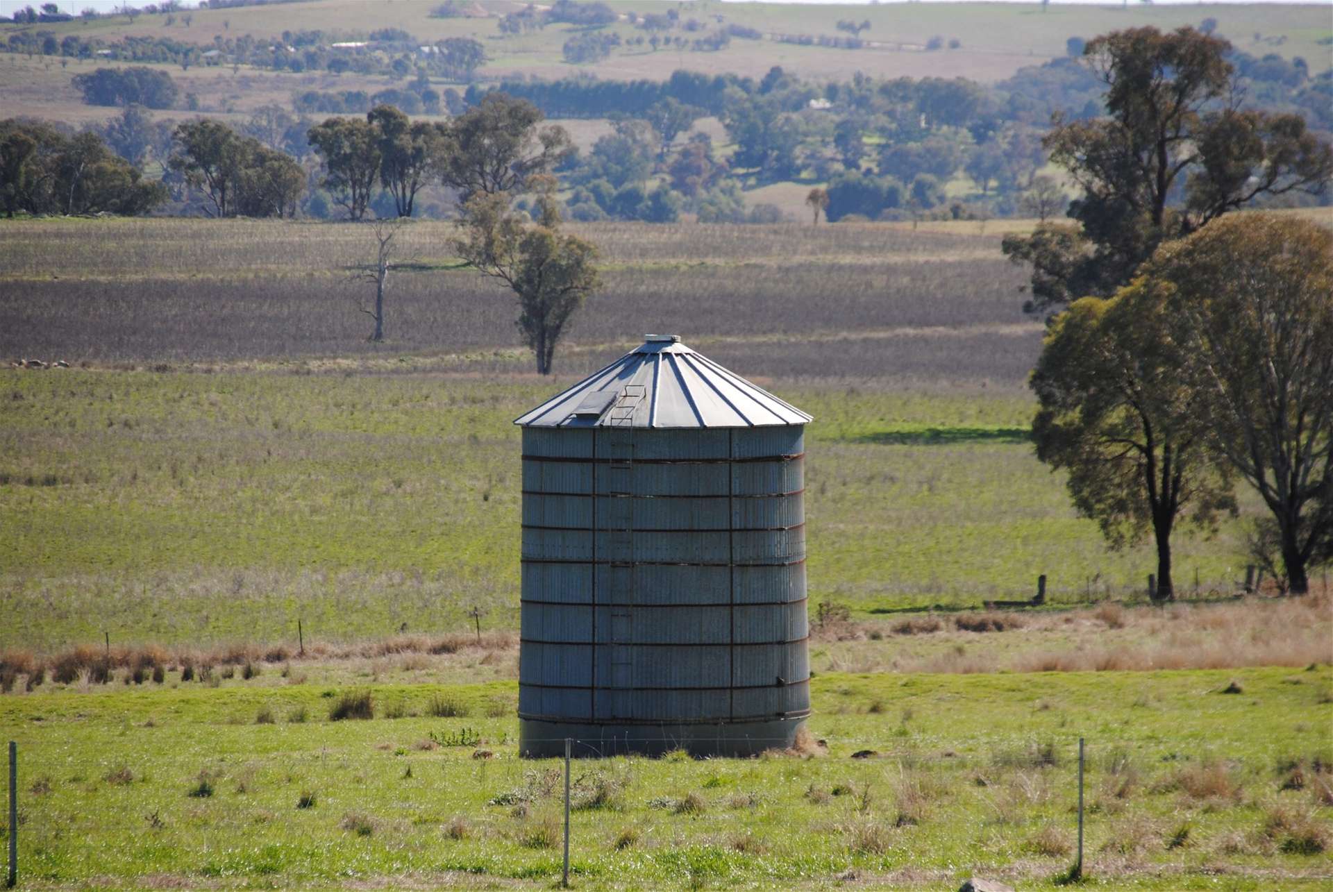 443 Wirrimah Road,Bendick Murrell, Wirrimah For Sale by Farmbuy.com - image 16