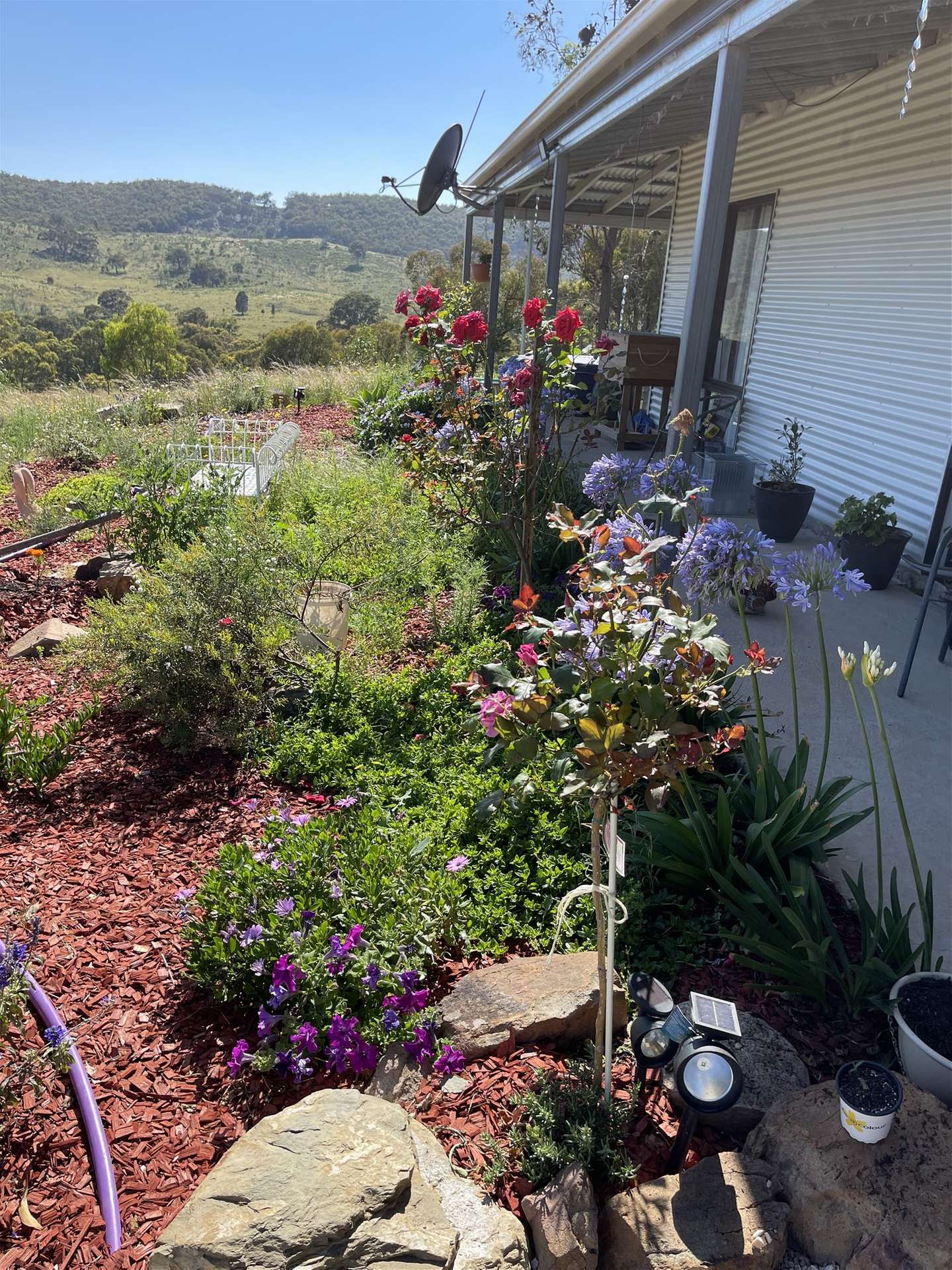 594 Pyramul Road, Windeyer For Sale by Farmbuy.com - image 24