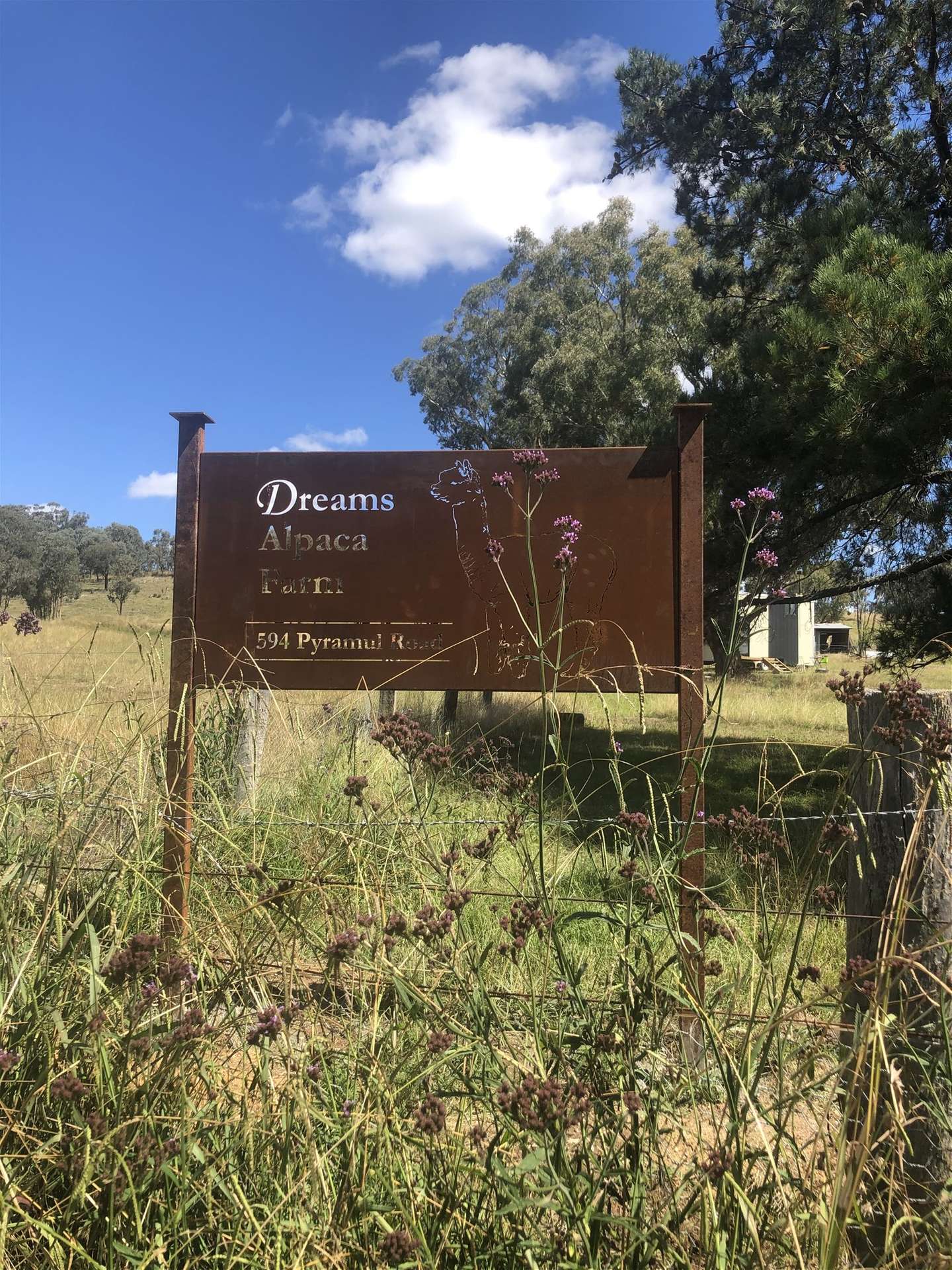 594 Pyramul Road, Windeyer For Sale by Farmbuy.com - image 4