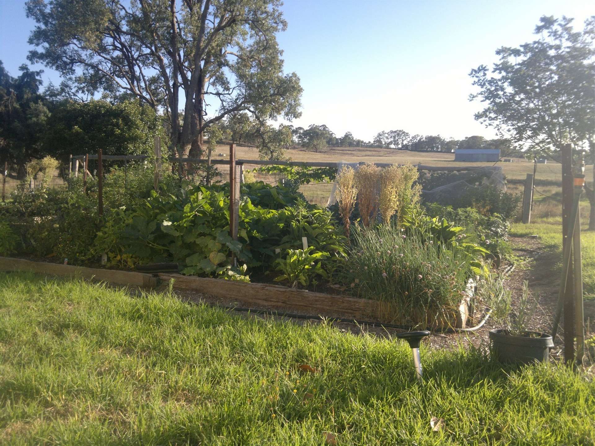 325 Toorawandi Road, Ulamambri For Sale by Farmbuy.com - image 20