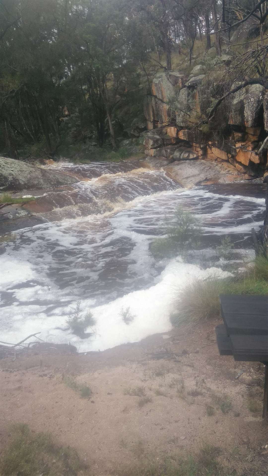 Tenterfield For Sale by Farmbuy.com - image 25