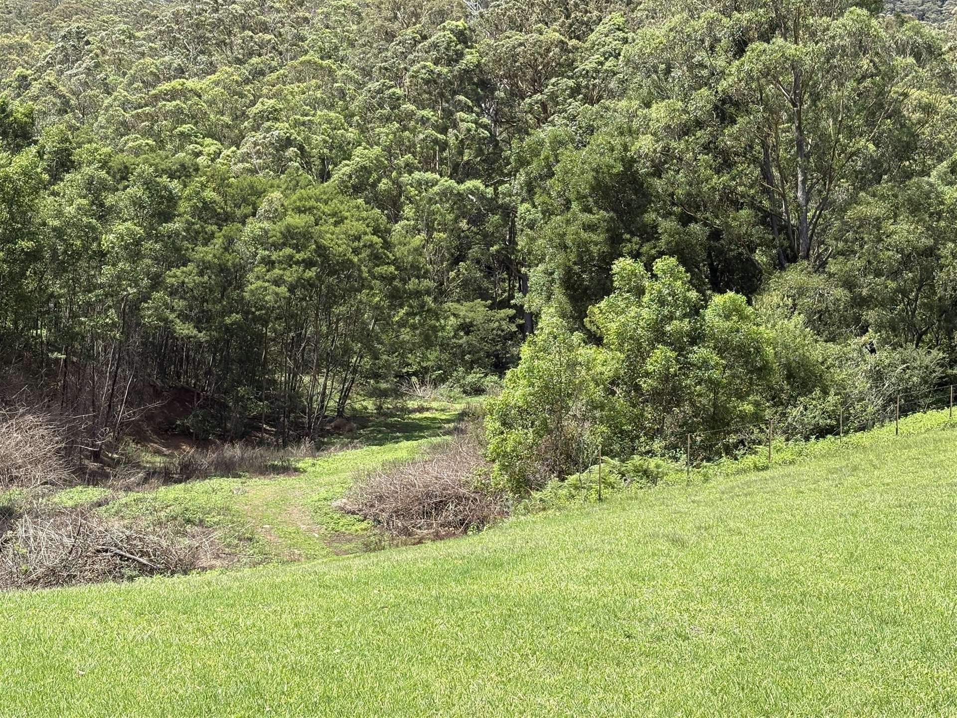65c Marden Lane, Kangaroo Valley For Sale by Farmbuy.com - image 25