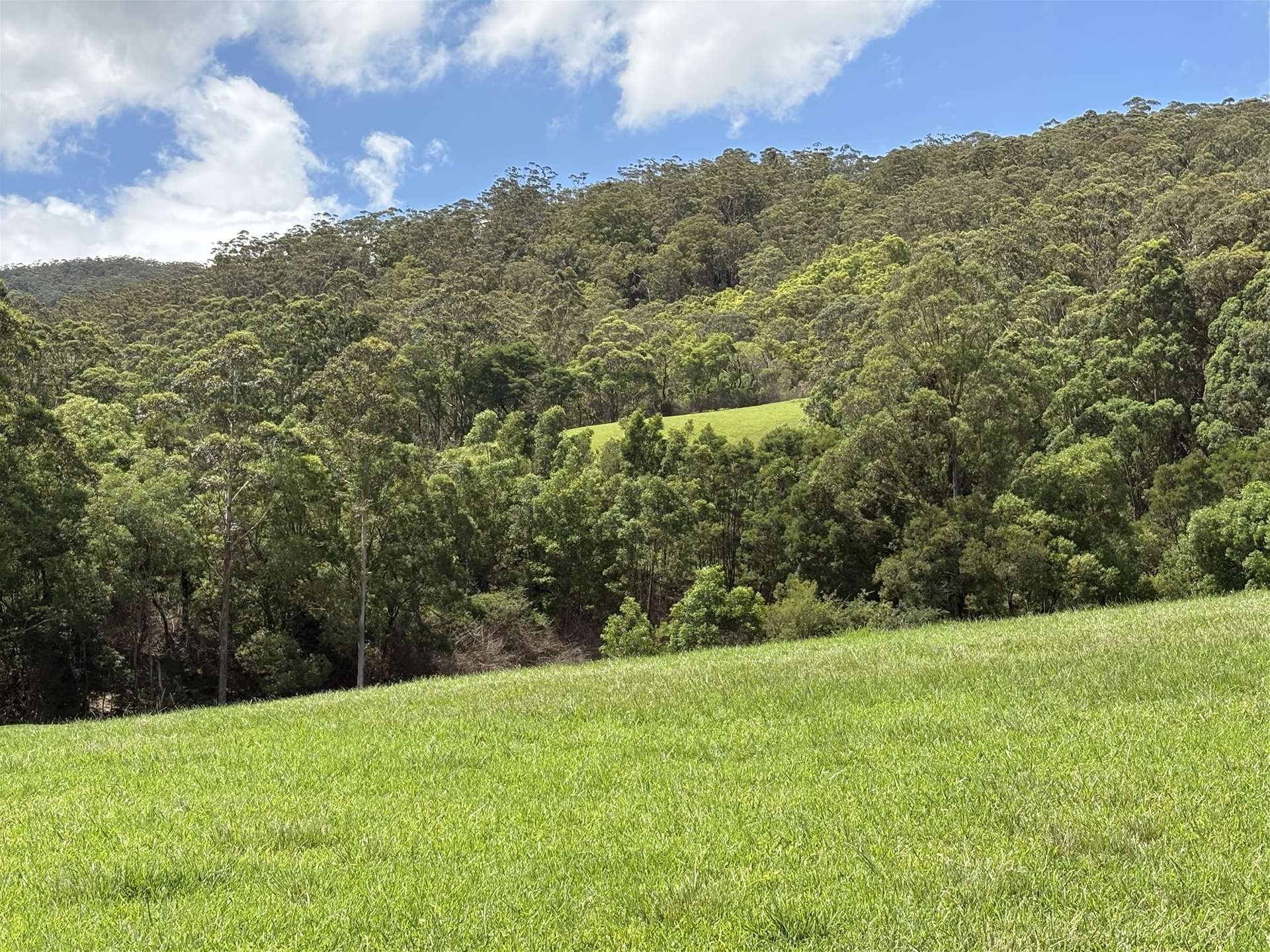65c Marden Lane, Kangaroo Valley For Sale by Farmbuy.com - image 24
