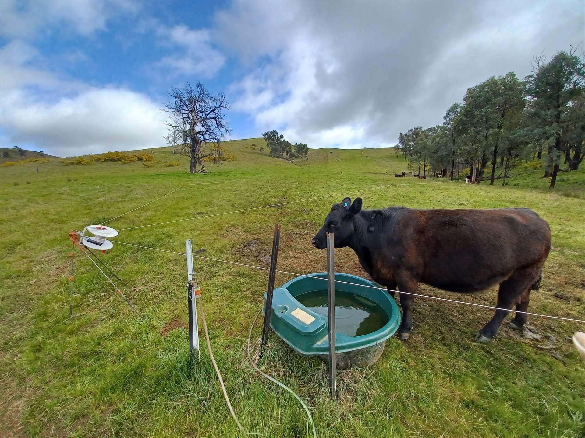 3924 Hume Highway, Tarcutta For Sale by Farmbuy.com - image 17