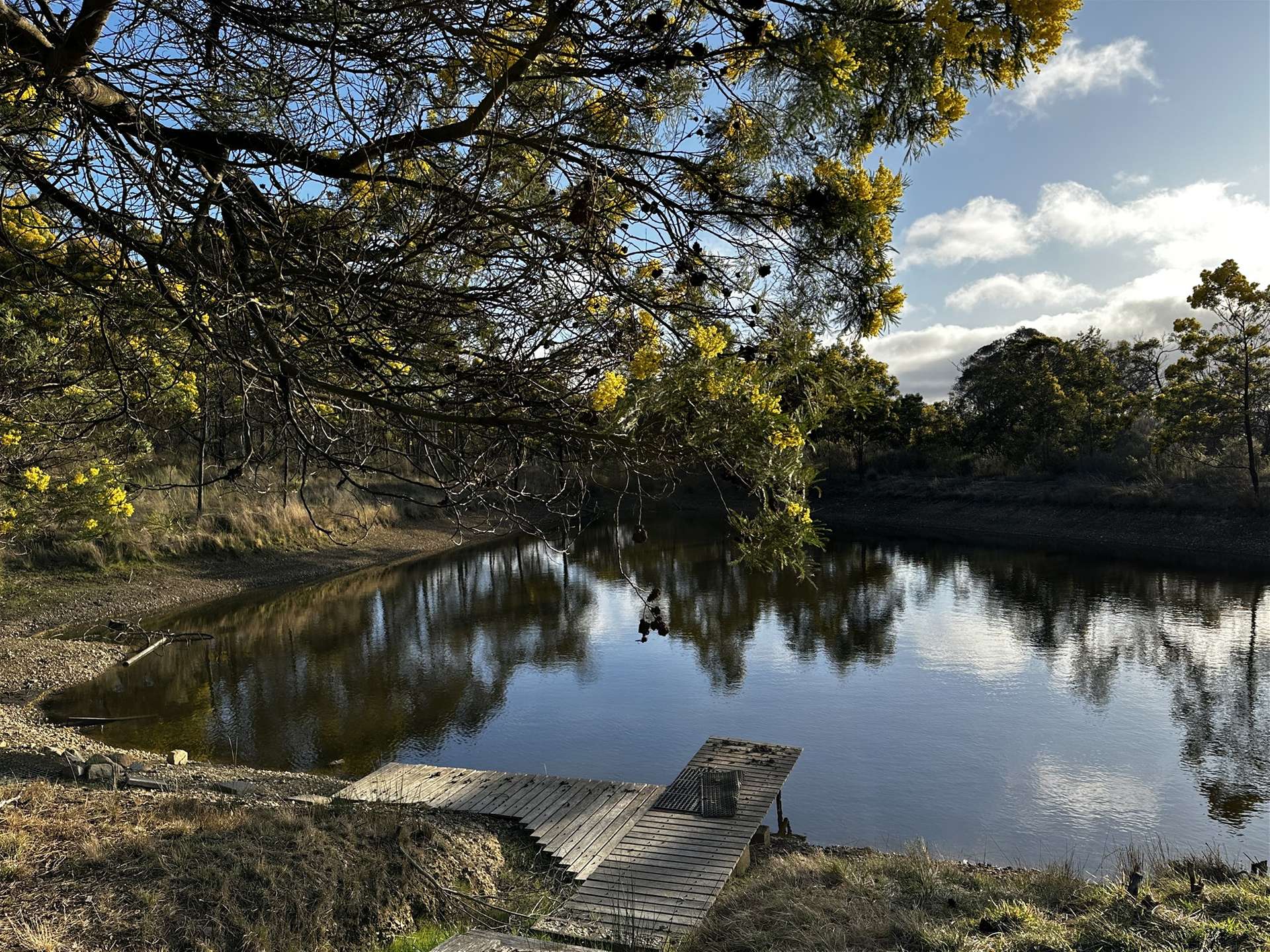 359 Forest Siding Road, Middle Arm For Sale by Farmbuy.com - image 21