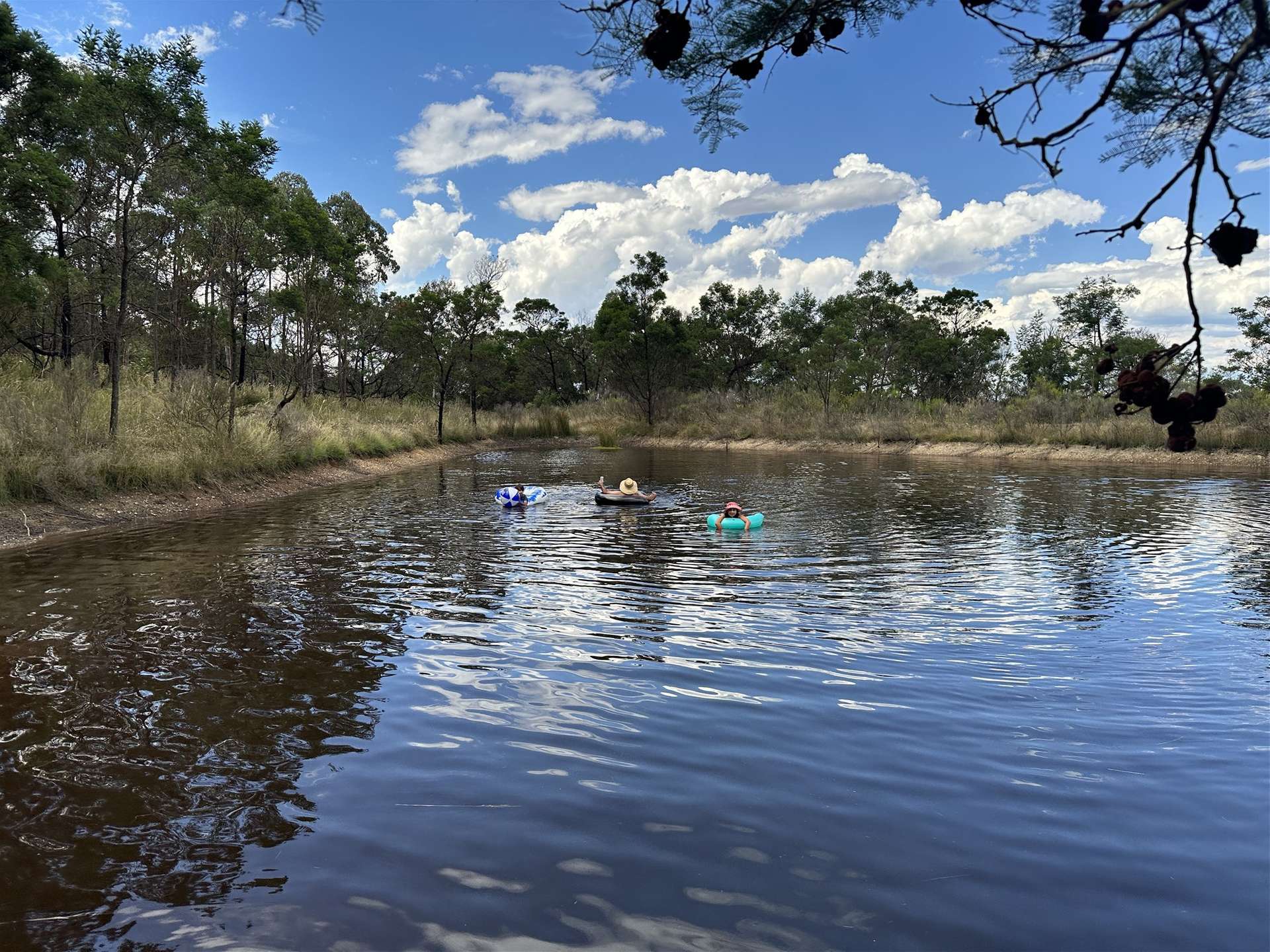 359 Forest Siding Road, Middle Arm For Sale by Farmbuy.com - image 32