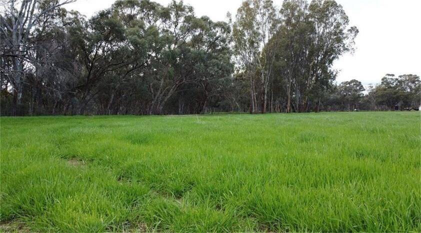 17 McKee Road, Echuca Village For Sale by Farmbuy.com - image 1