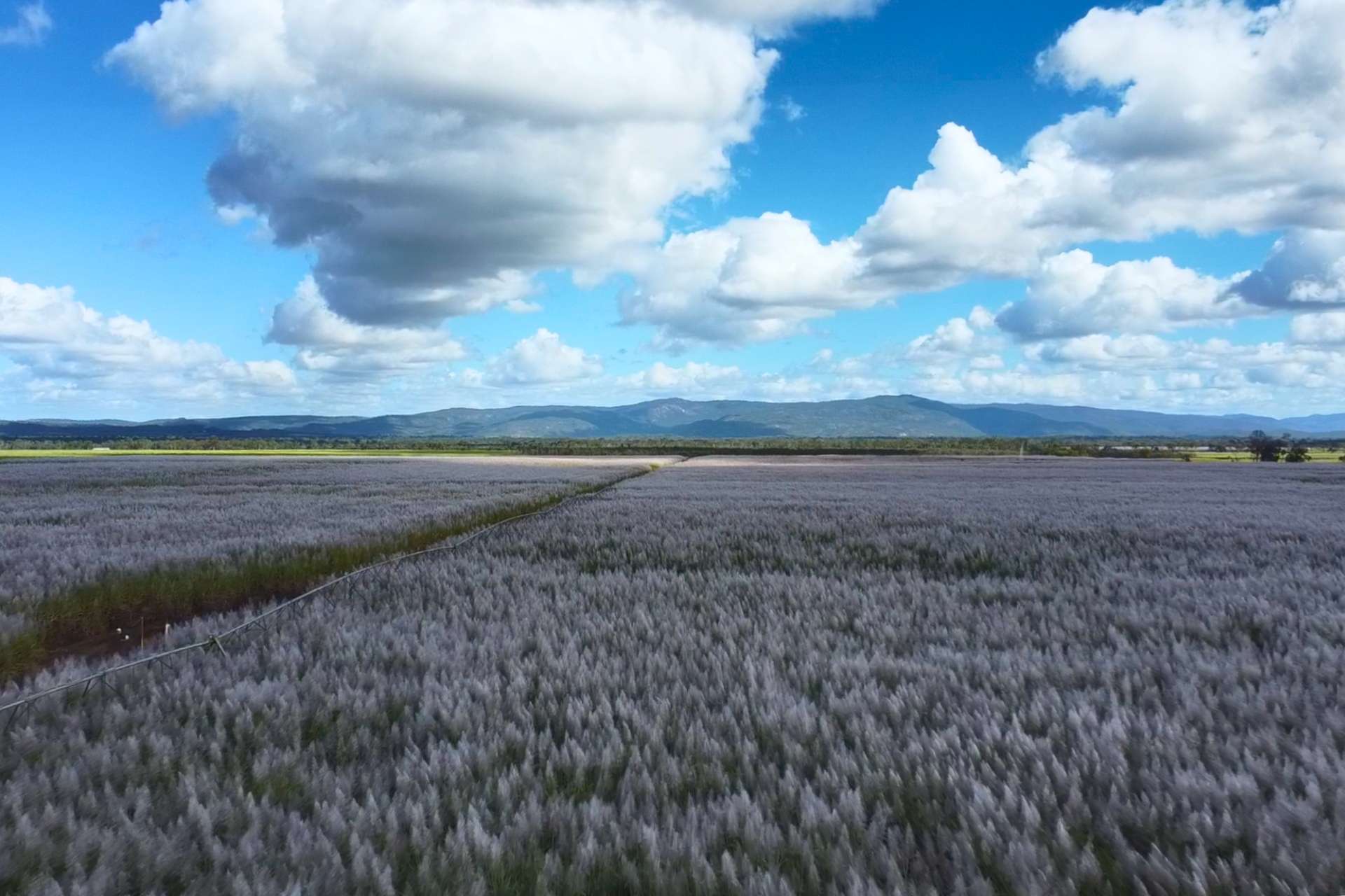 Mareeba For Sale by Farmbuy.com - image 1