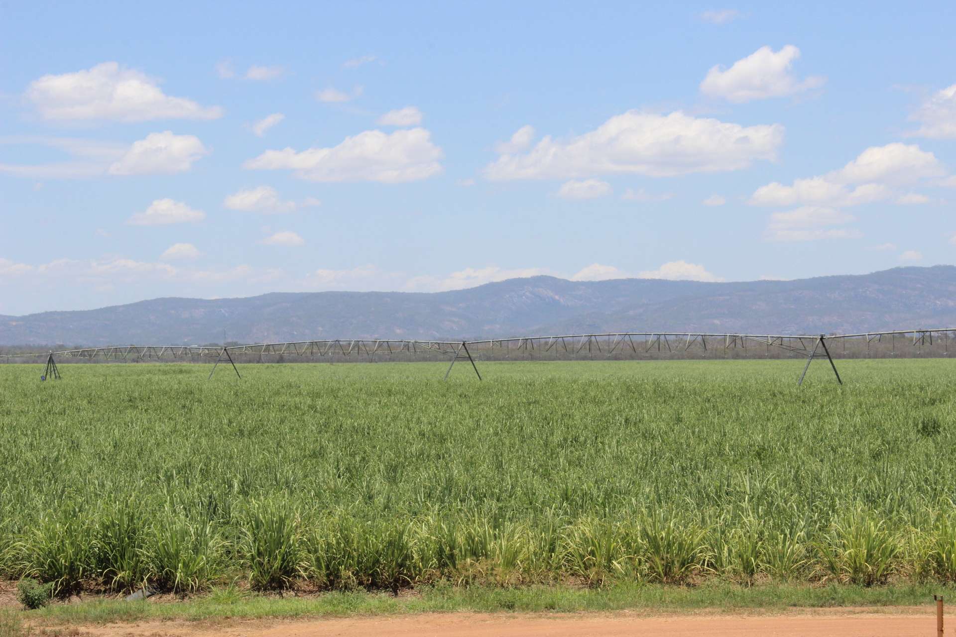 Mareeba For Sale by Farmbuy.com - image 9