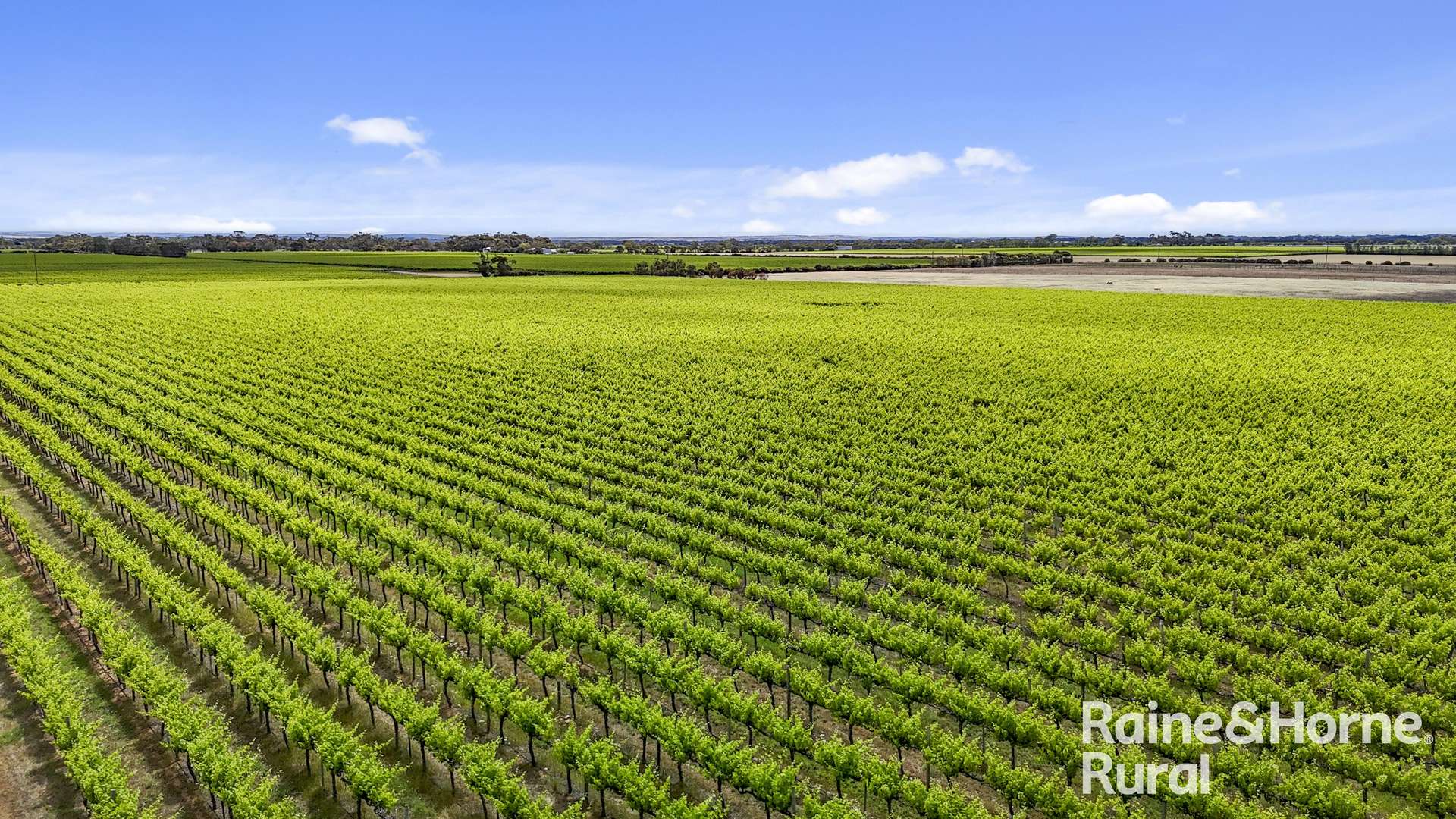 A8 Milang Road, Angas Plains Sold by Farmbuy.com - image 7