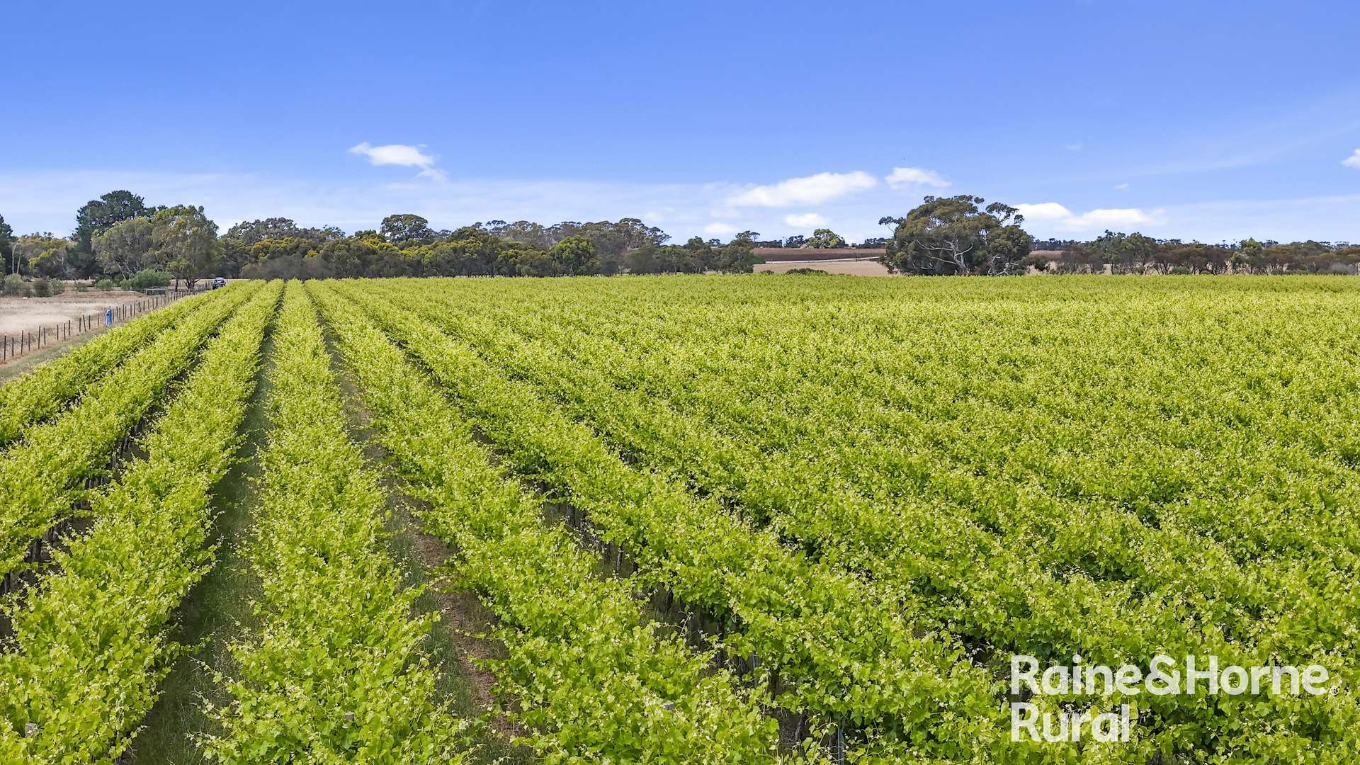 A8 Milang Road, Angas Plains Sold by Farmbuy.com - image 10