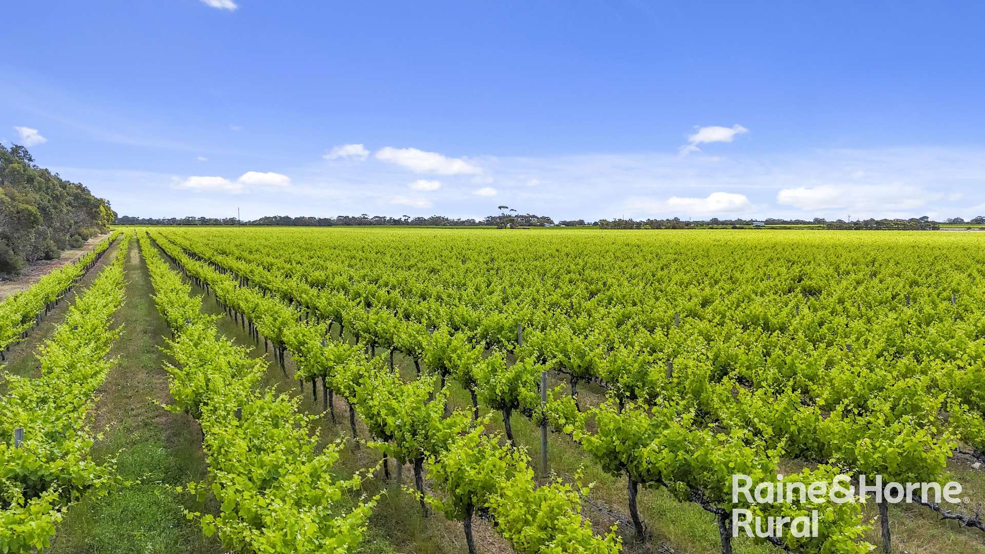 A8 Milang Road, Angas Plains Sold by Farmbuy.com - image 3